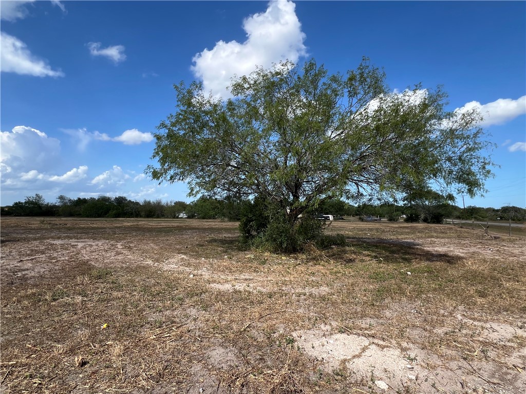 310 Cr Orange Grove, TX 78372 - Photo 4 of 32 a view of lake with tree
