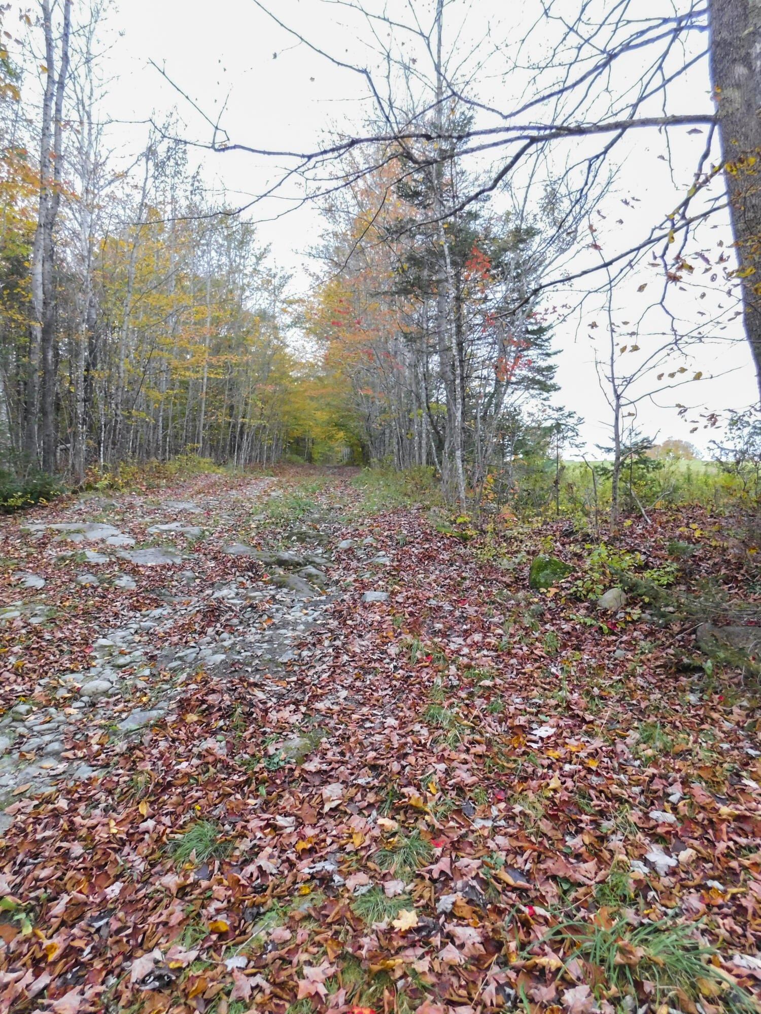 Lot #40-1 Lot#40-1 Map Road, Unit 1 Ripley, ME 04930 - Photo 22 of 27 19