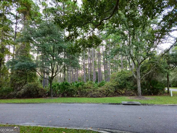 a view of a yard with large trees and plants