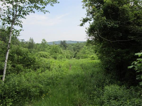 Lot 2 Donnelly Road Spencer, MA 01562 - Photo 6 of 13 Gallery Image 6