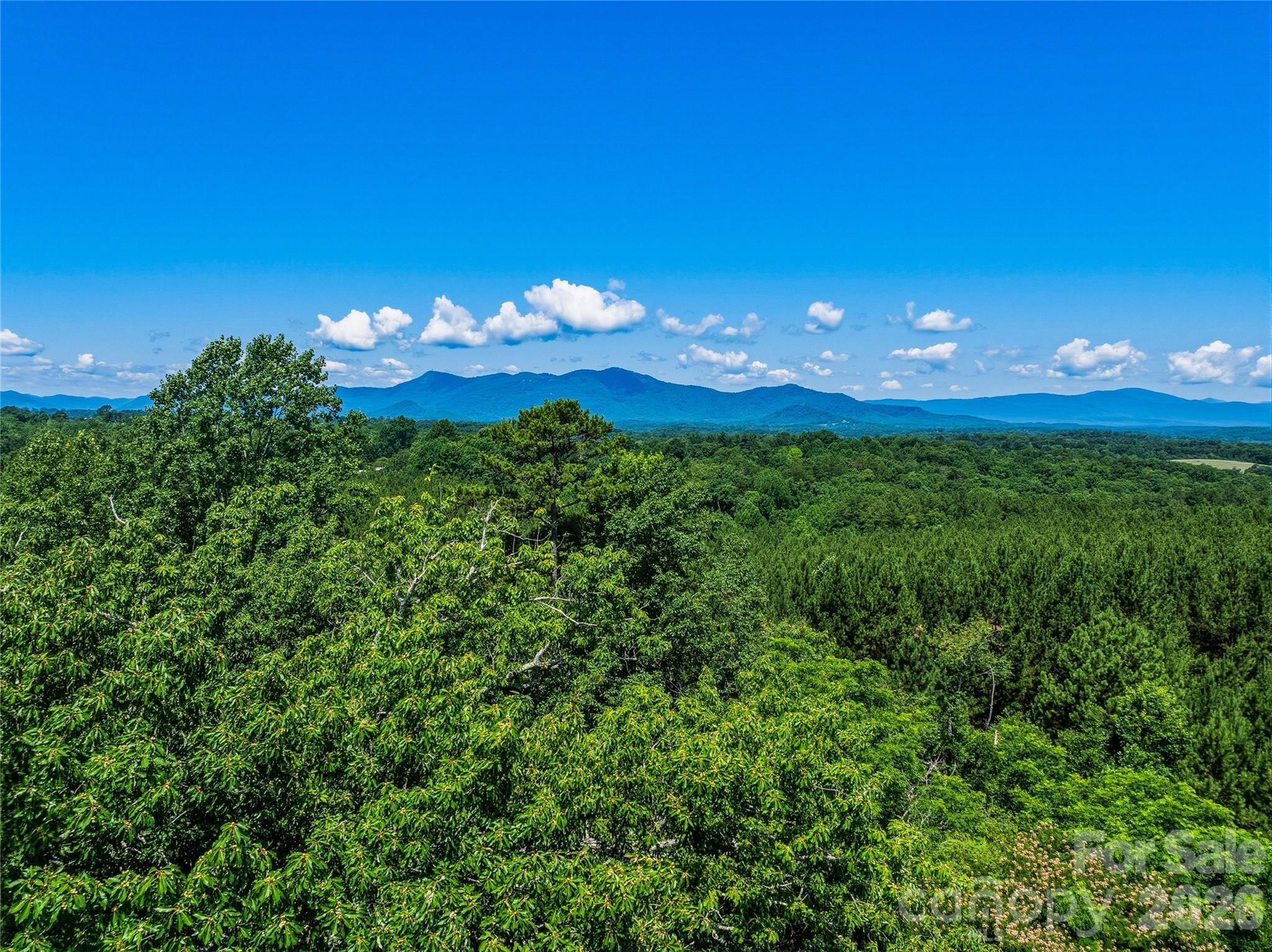 6783 Peniel Road Tryon, NC 28782 - Photo 15 of 36