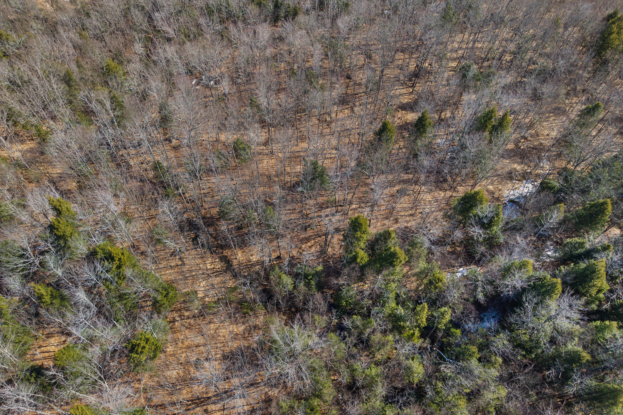 10 Main Street Sumner, ME 04292 - Photo 11 of 17 11-Map-8-Lot-10-11