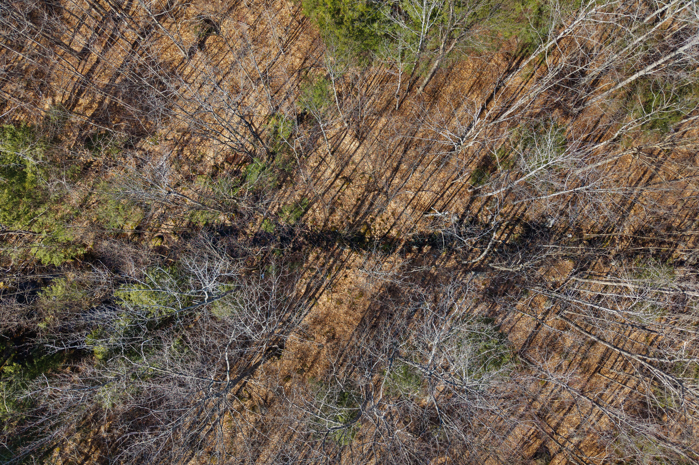 10 Main Street Sumner, ME 04292 - Photo 12 of 17 12-Map-8-Lot-10-12