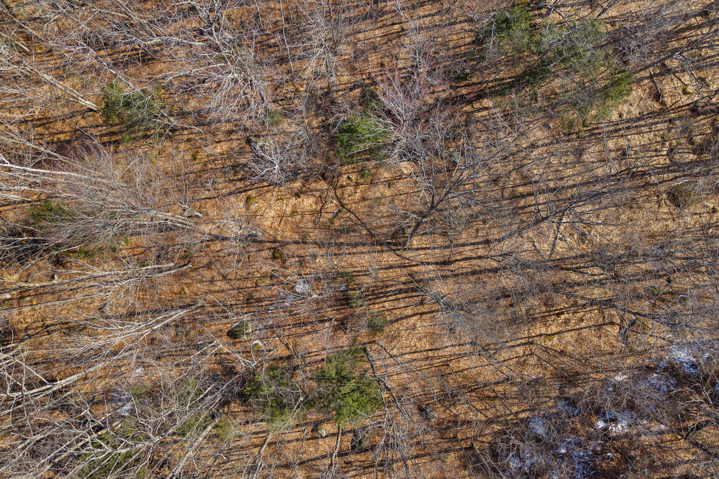 10 Main Street Sumner, ME 04292 - Photo 13 of 17 13-Map-8-Lot-10-13