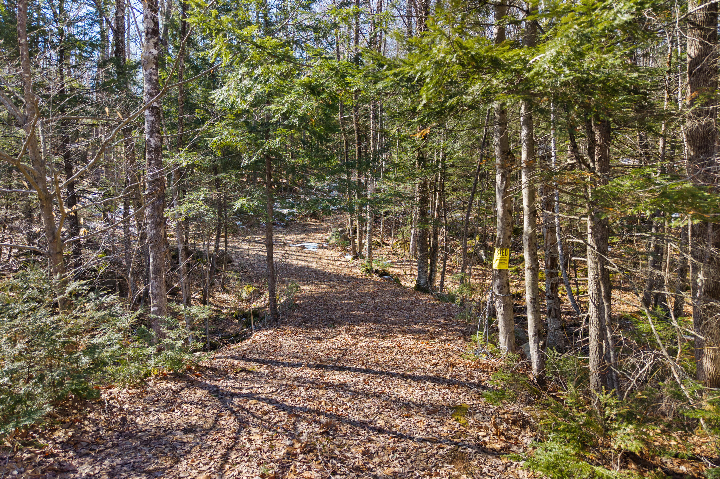 10 Main Street Sumner, ME 04292 - Photo 7 of 17 7-Map-8-Lot-10-7
