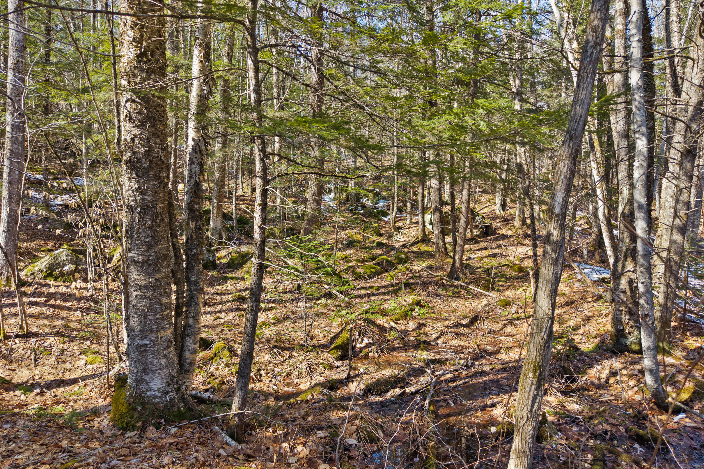 10 Main Street Sumner, ME 04292 - Photo 8 of 17 8-Map-8-Lot-10-8