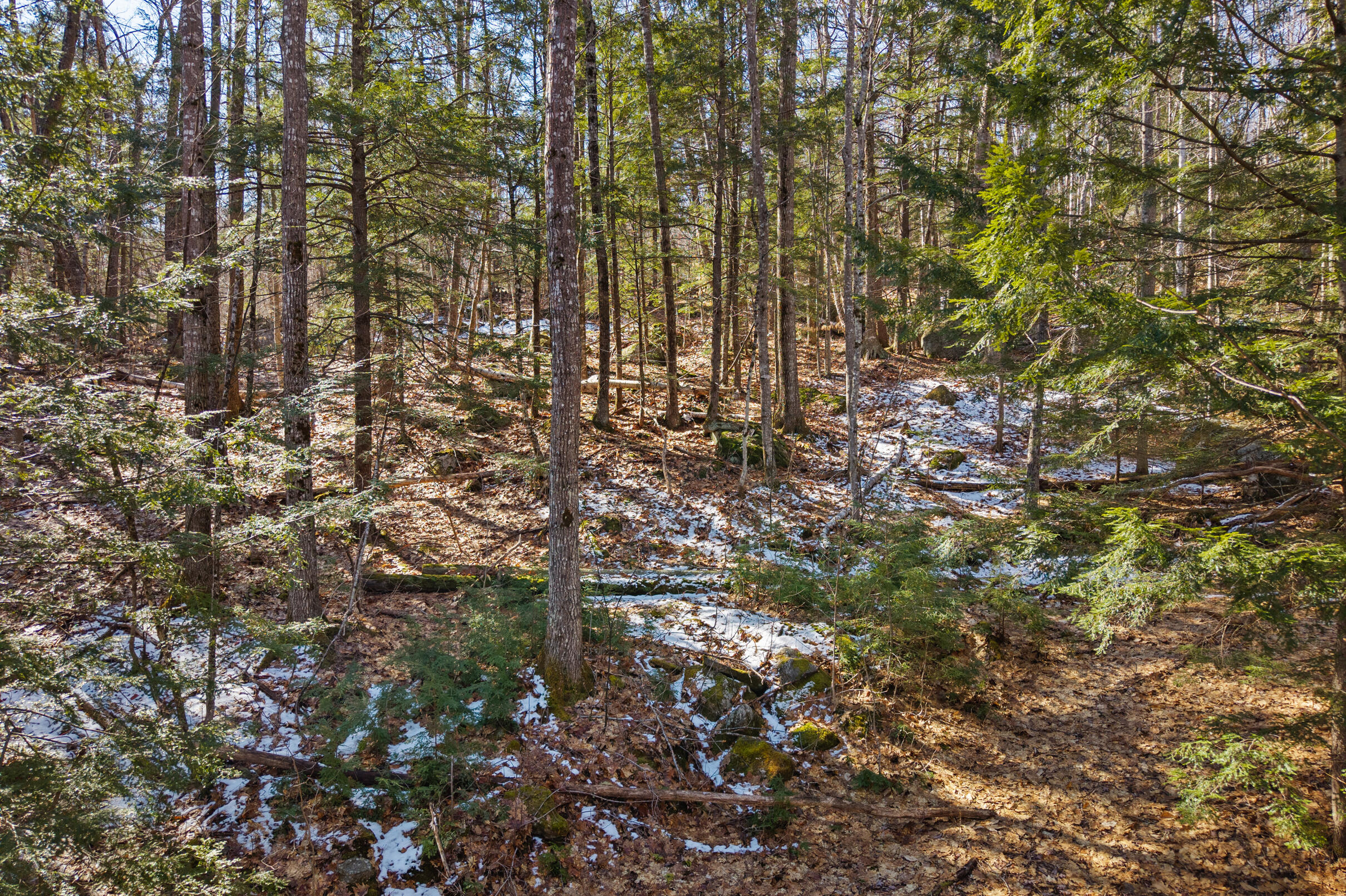 10 Main Street Sumner, ME 04292 - Photo 9 of 17 9-Map-8-Lot-10-9