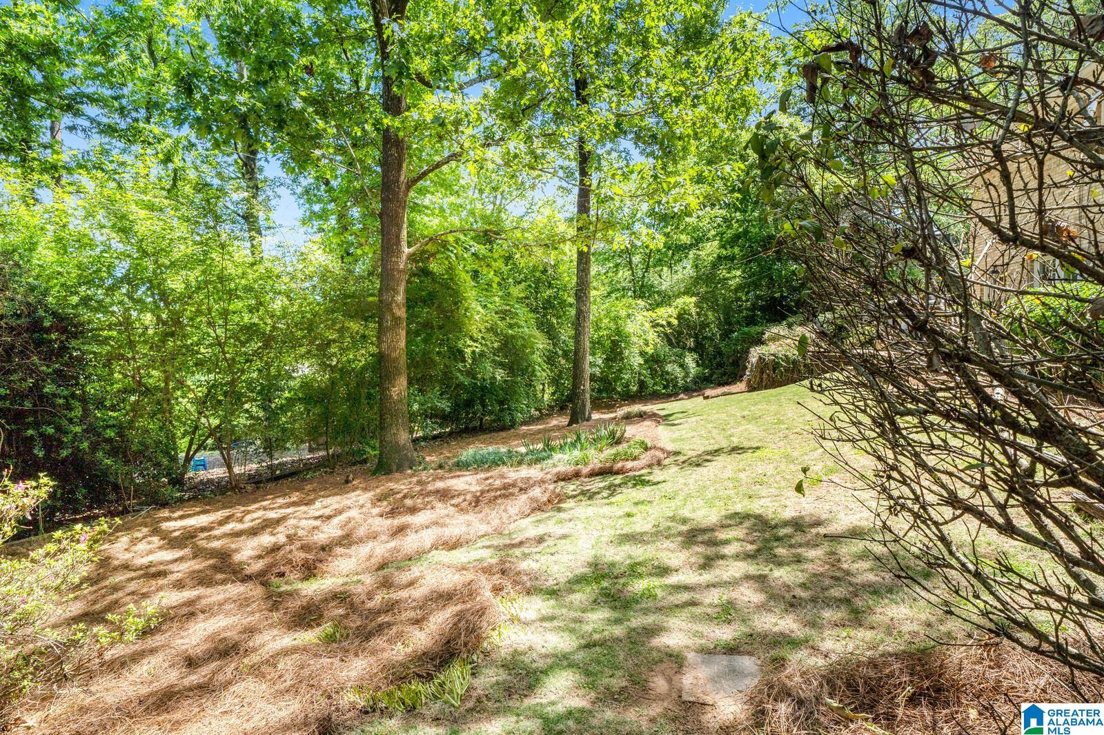 2814 Overton Road Birmingham, AL 35223 - Photo 46 of 53