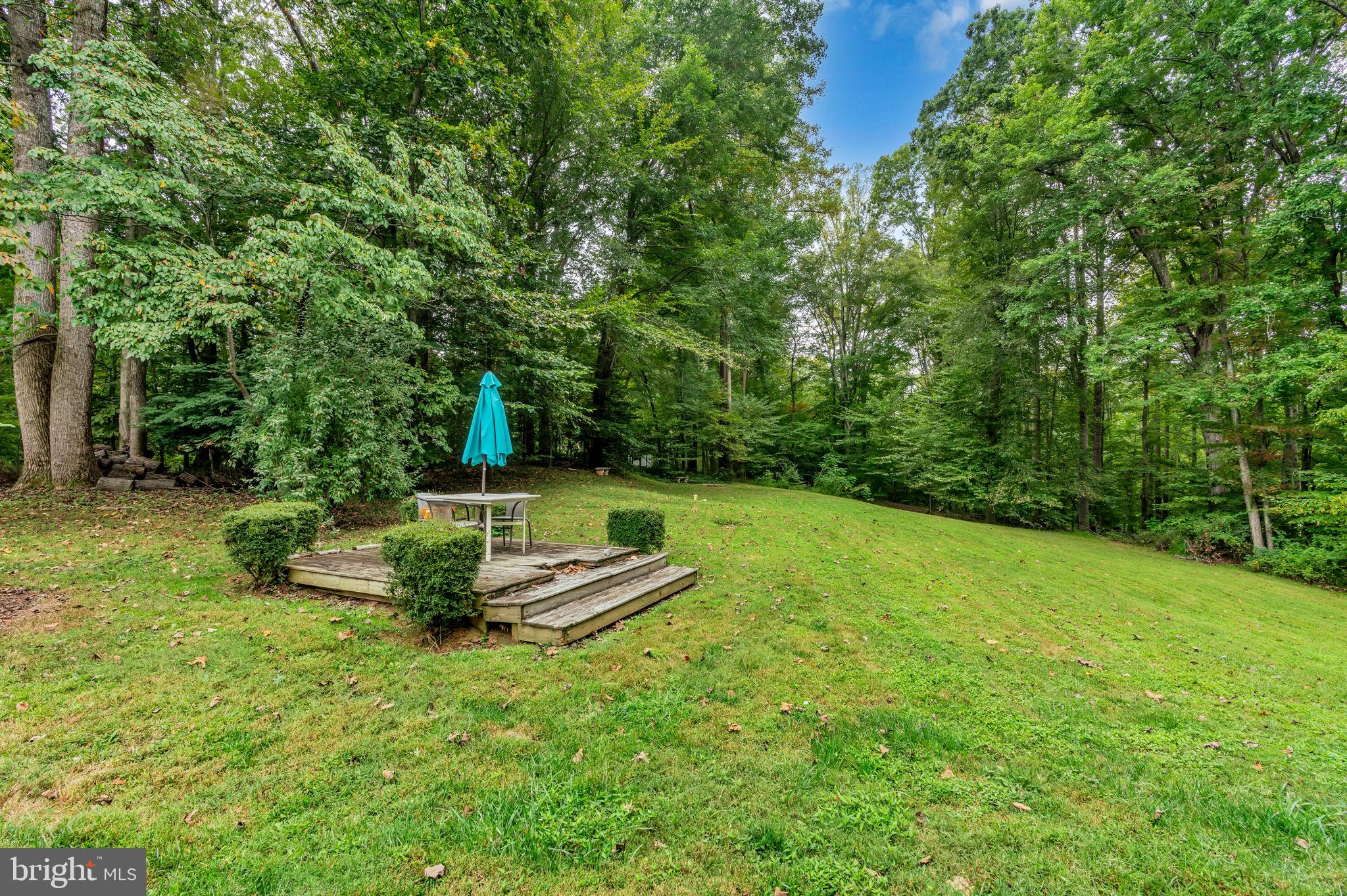 12215 Henderson Road Clifton, VA 20124 - Photo 92 of 145