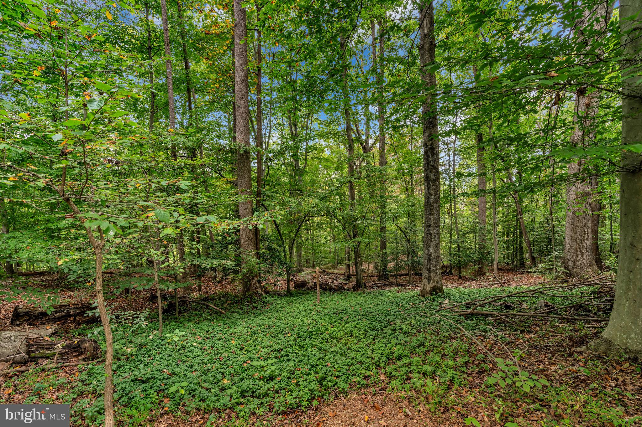 12215 Henderson Road Clifton, VA 20124 - Photo 95 of 145