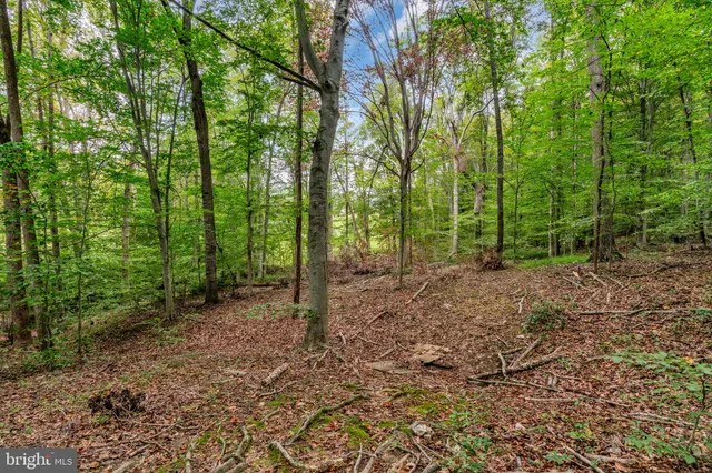 $1,325,000 | 12215 Henderson Road, Clifton, VA 20124