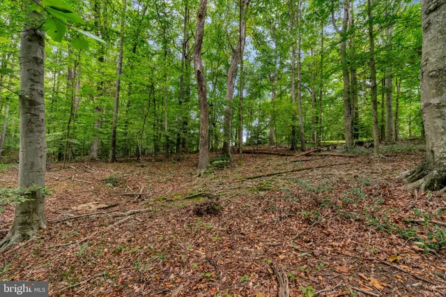 $1,325,000 | 12215 Henderson Road, Clifton, VA 20124