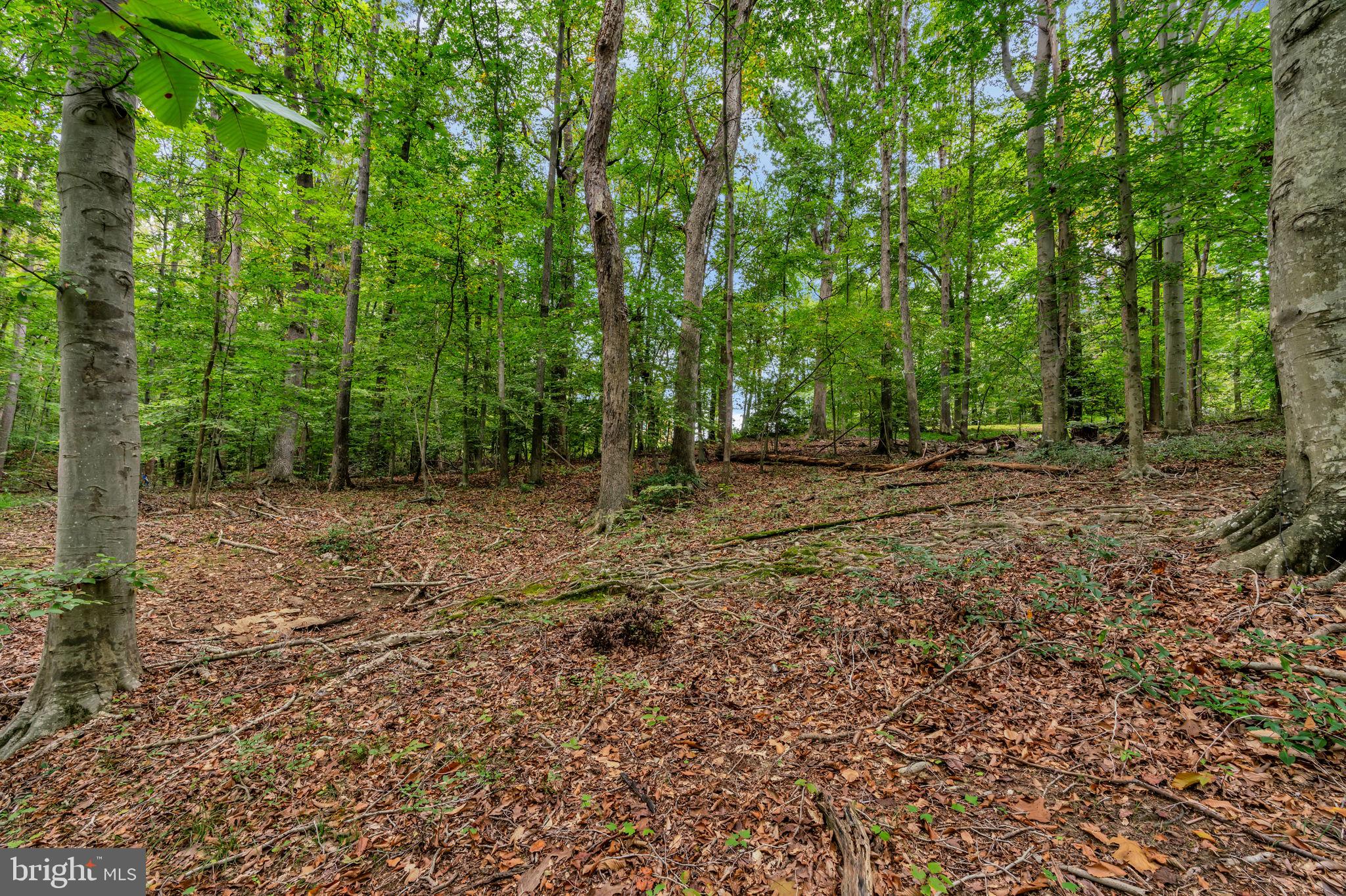 12215 Henderson Road Clifton, VA 20124 - Photo 97 of 145