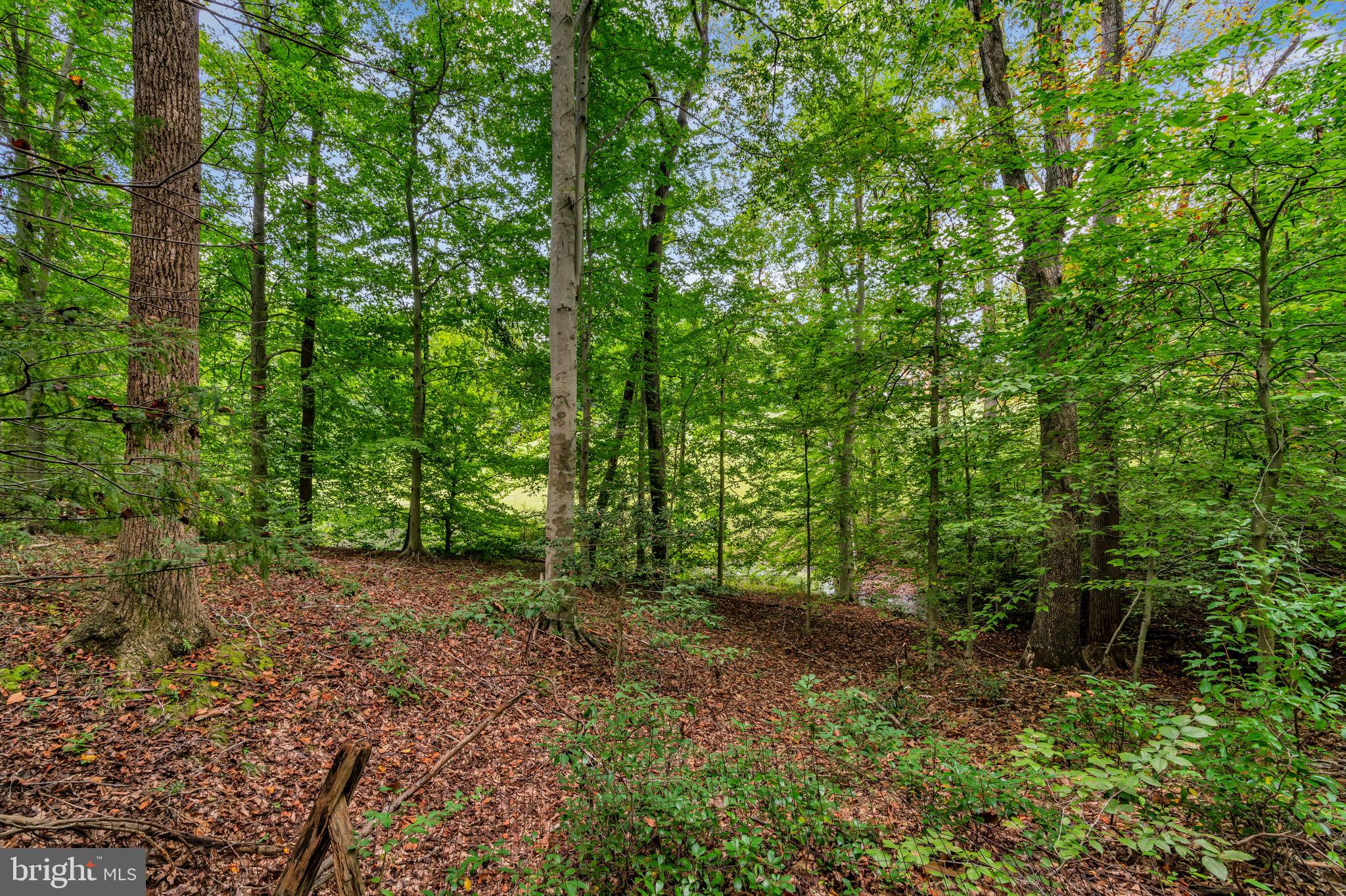 12215 Henderson Road Clifton, VA 20124 - Photo 98 of 145