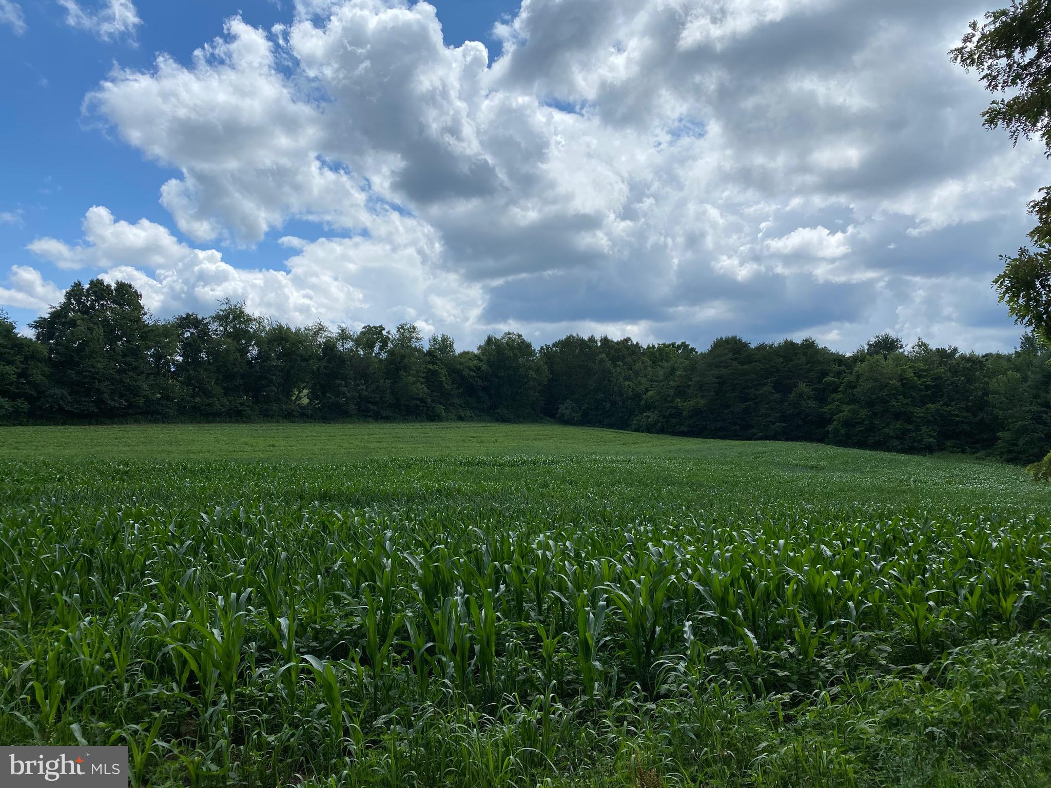 0 Small Valley Road Halifax, PA 17032 - Photo 8 of 11