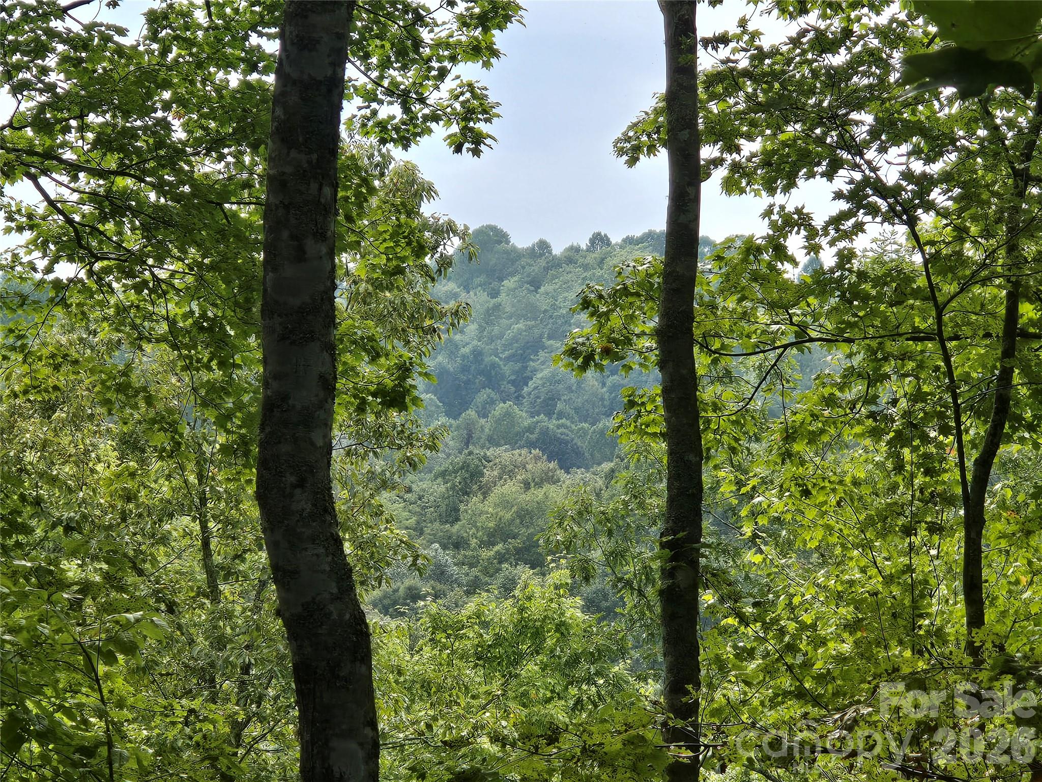 303 Ladd Ridge Road Rosman, NC 28772 - Photo 14 of 32 Gallery Image 14