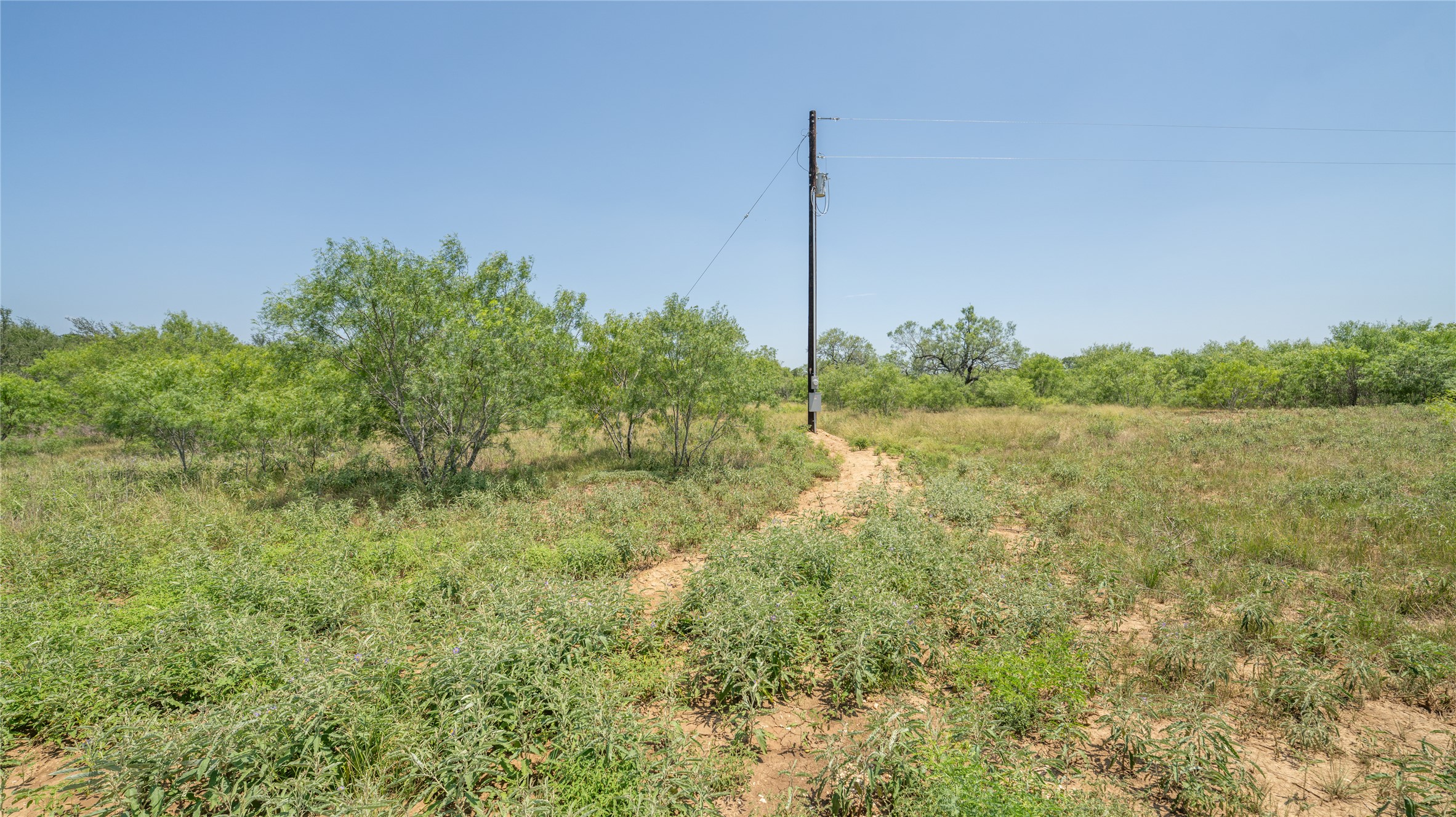 1121 Callihan Road Luling, TX 78648 - Photo 7 of 35 a view of a field with a tree in the background
