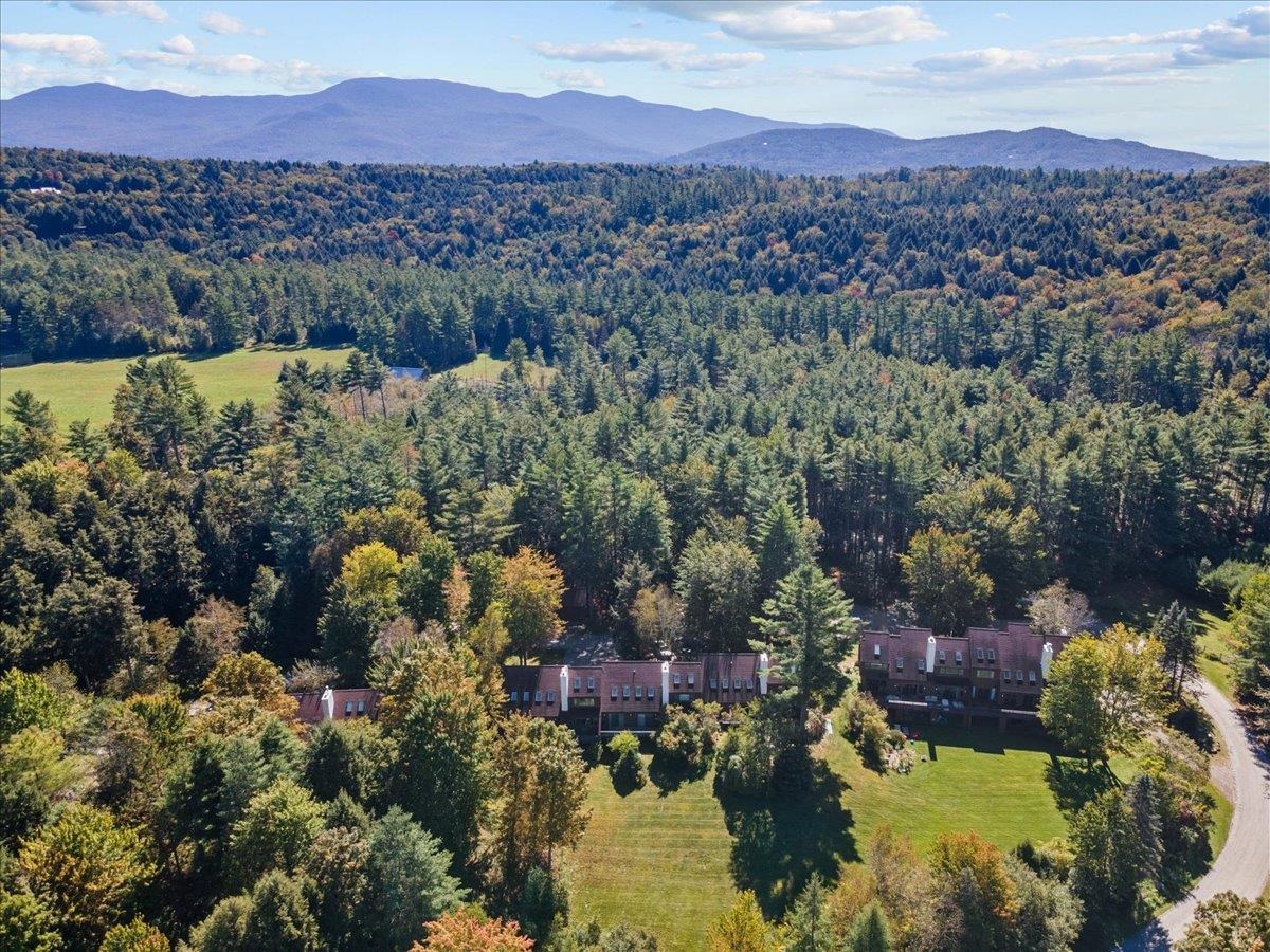 615 Field Road, Unit 73 Stowe, VT 05672 - Photo 46 of 46