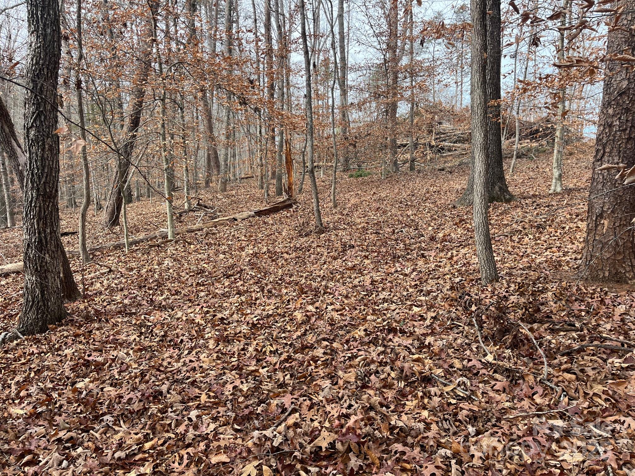 0 Hudlow Road, Unit 1 Forest City, NC 28043 - Photo 12 of 22 a view of a yard with large trees