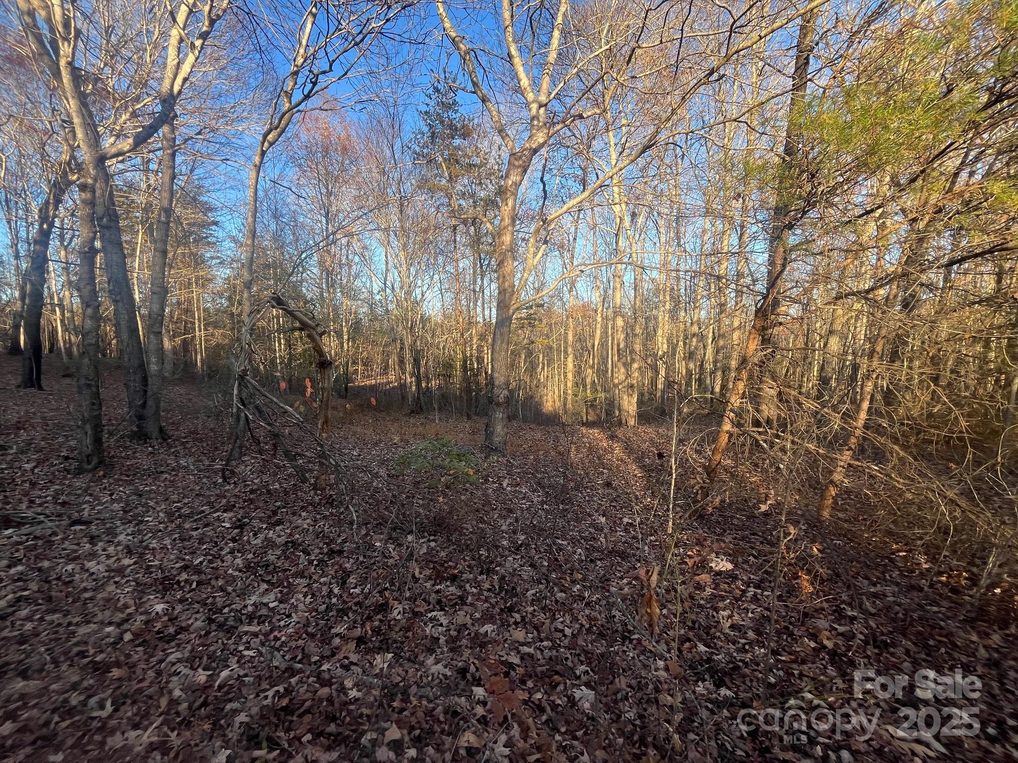 0 Hudlow Road, Unit 1 Forest City, NC 28043 - Photo 18 of 22 a view of a yard