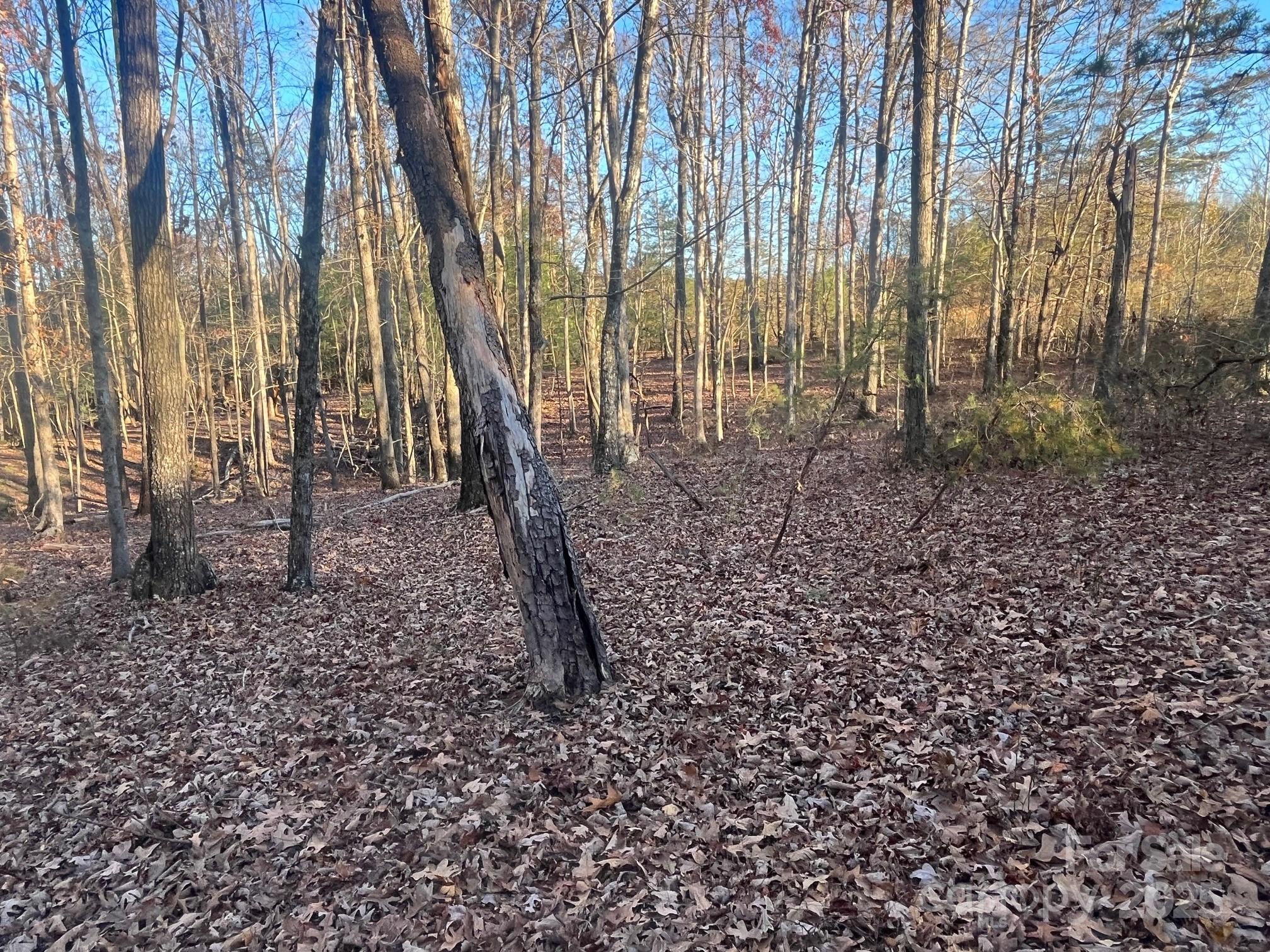 0 Hudlow Road, Unit 1 Forest City, NC 28043 - Photo 19 of 22 a view of a backyard