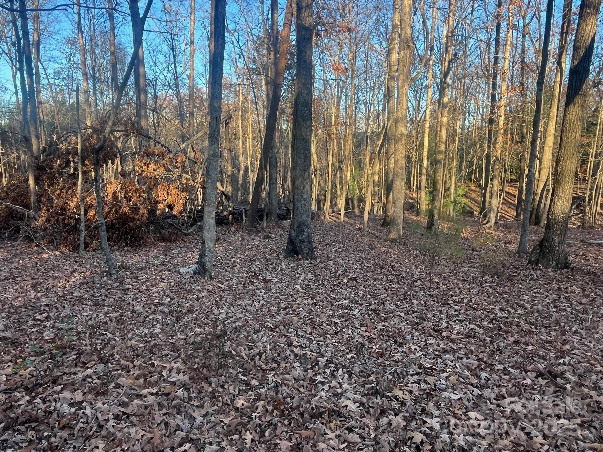 0 Hudlow Road, Unit 1 Forest City, NC 28043 - Photo 20 of 22 a backyard of a house with lots of green space