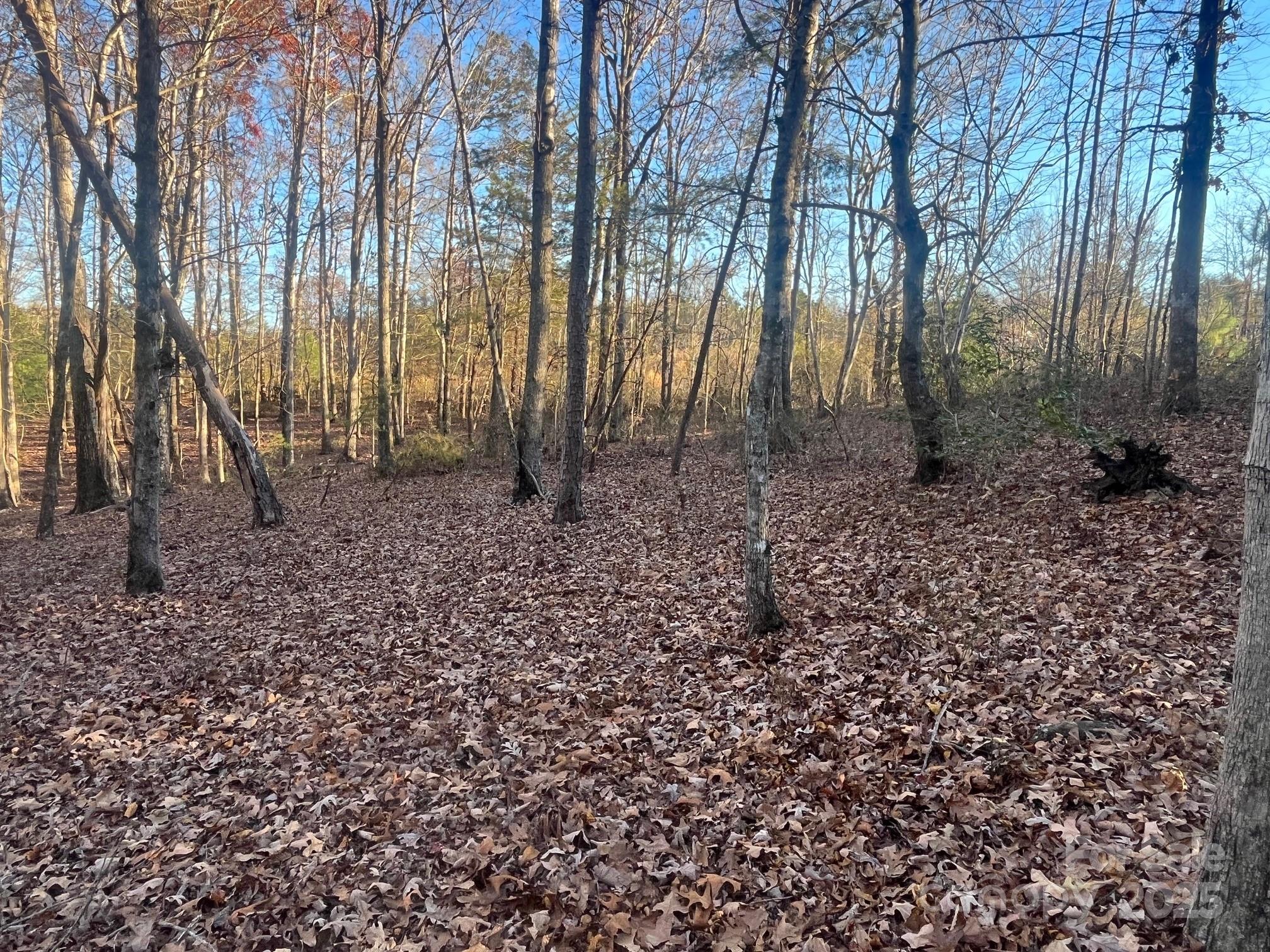 0 Hudlow Road, Unit 1 Forest City, NC 28043 - Photo 21 of 22 a backyard of a house with lots of green space