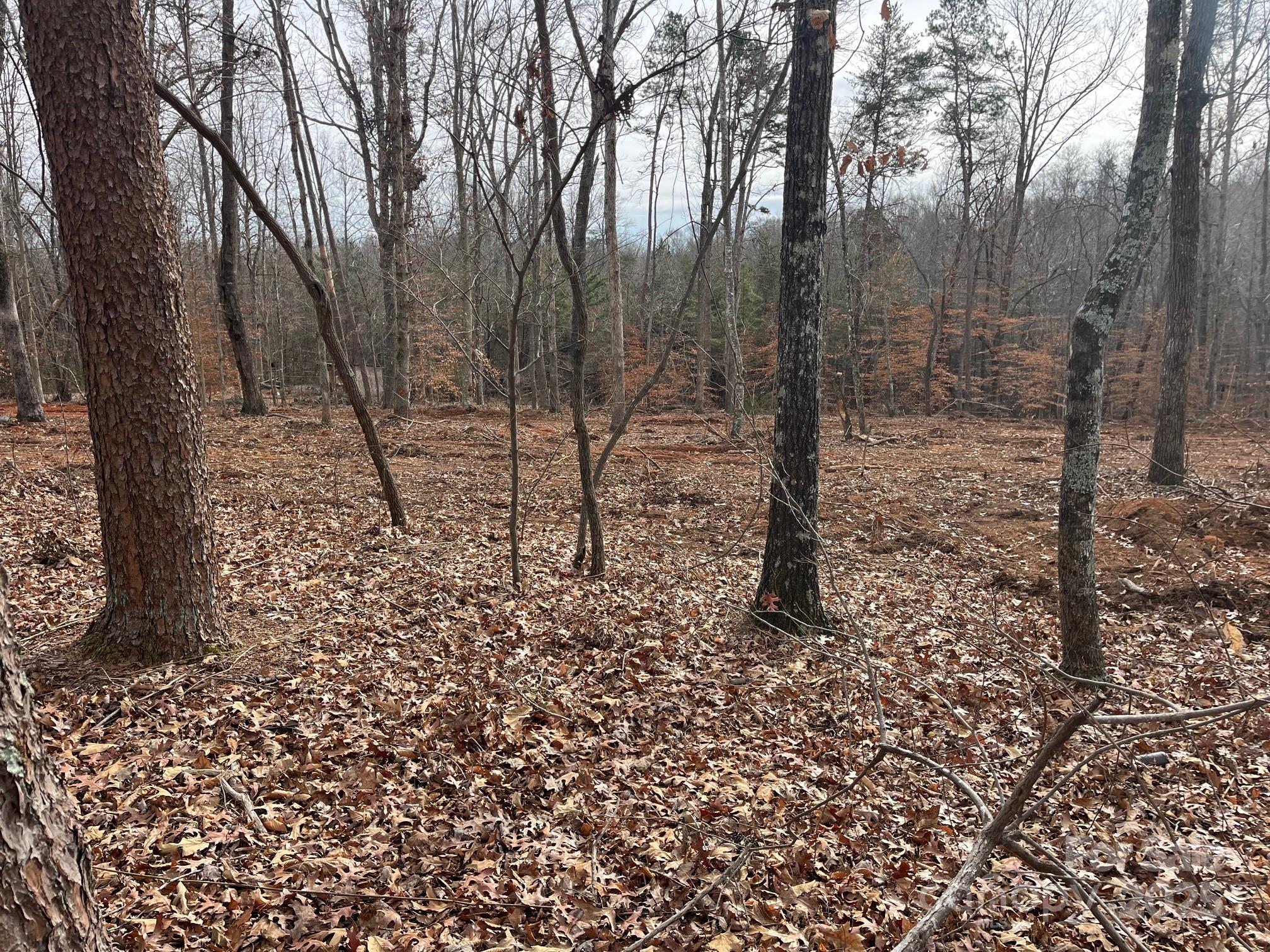 0 Hudlow Road, Unit 1 Forest City, NC 28043 - Photo 4 of 22 a view of a forest with trees