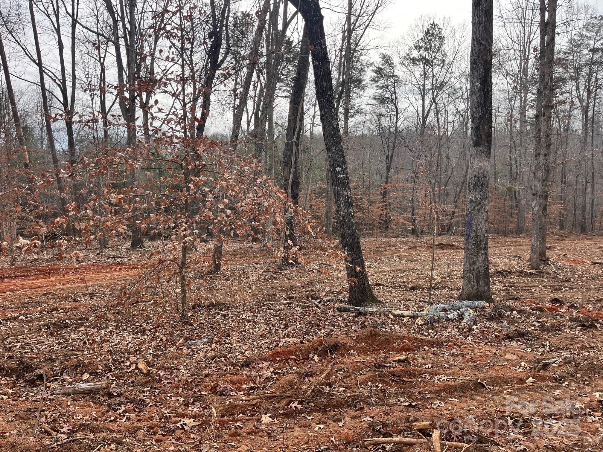 0 Hudlow Road, Unit 1 Forest City, NC 28043 - Photo 7 of 22 a view of a yard with trees in the background