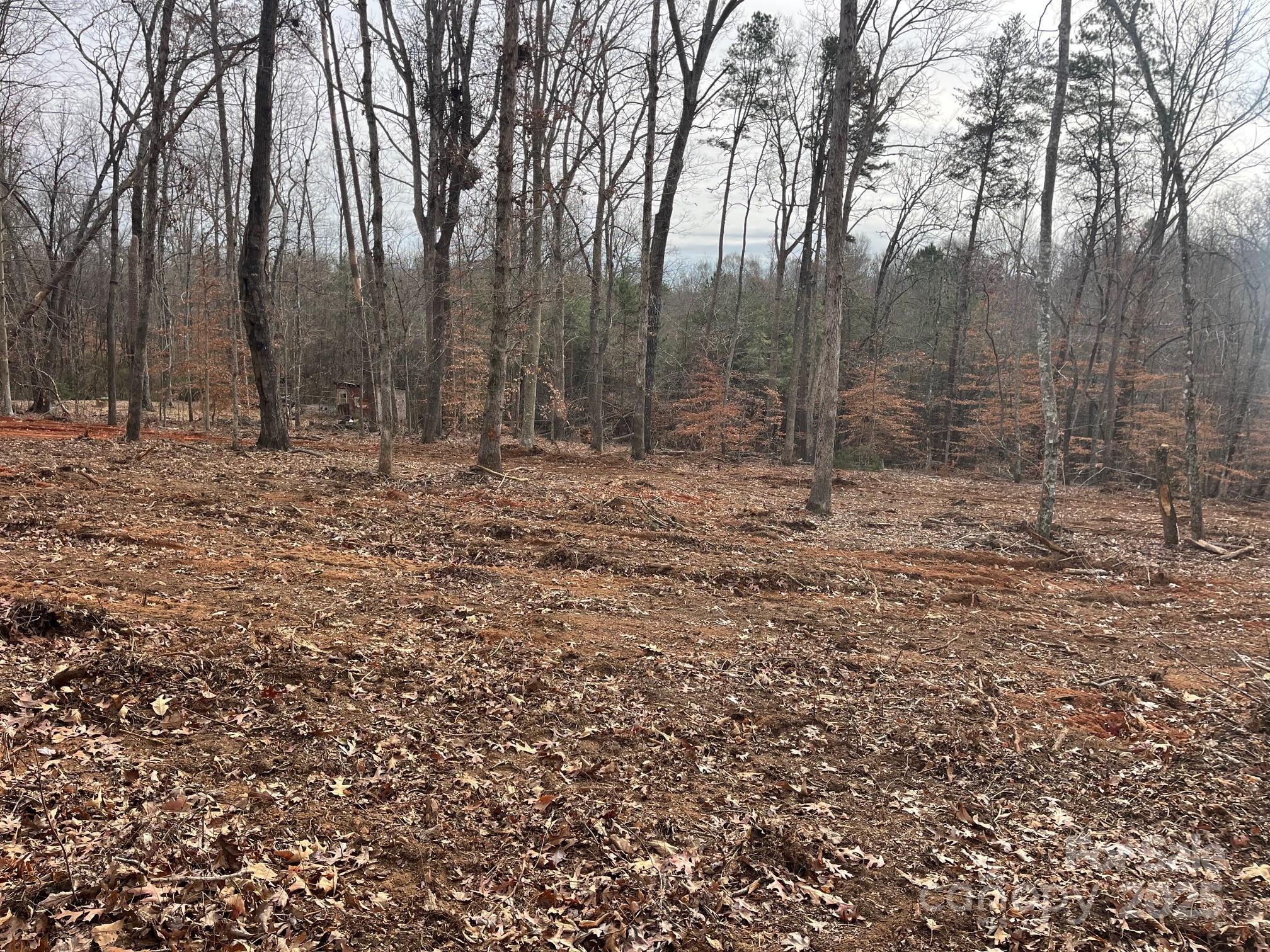 0 Hudlow Road, Unit 1 Forest City, NC 28043 - Photo 8 of 22 a view of a yard with trees in the background