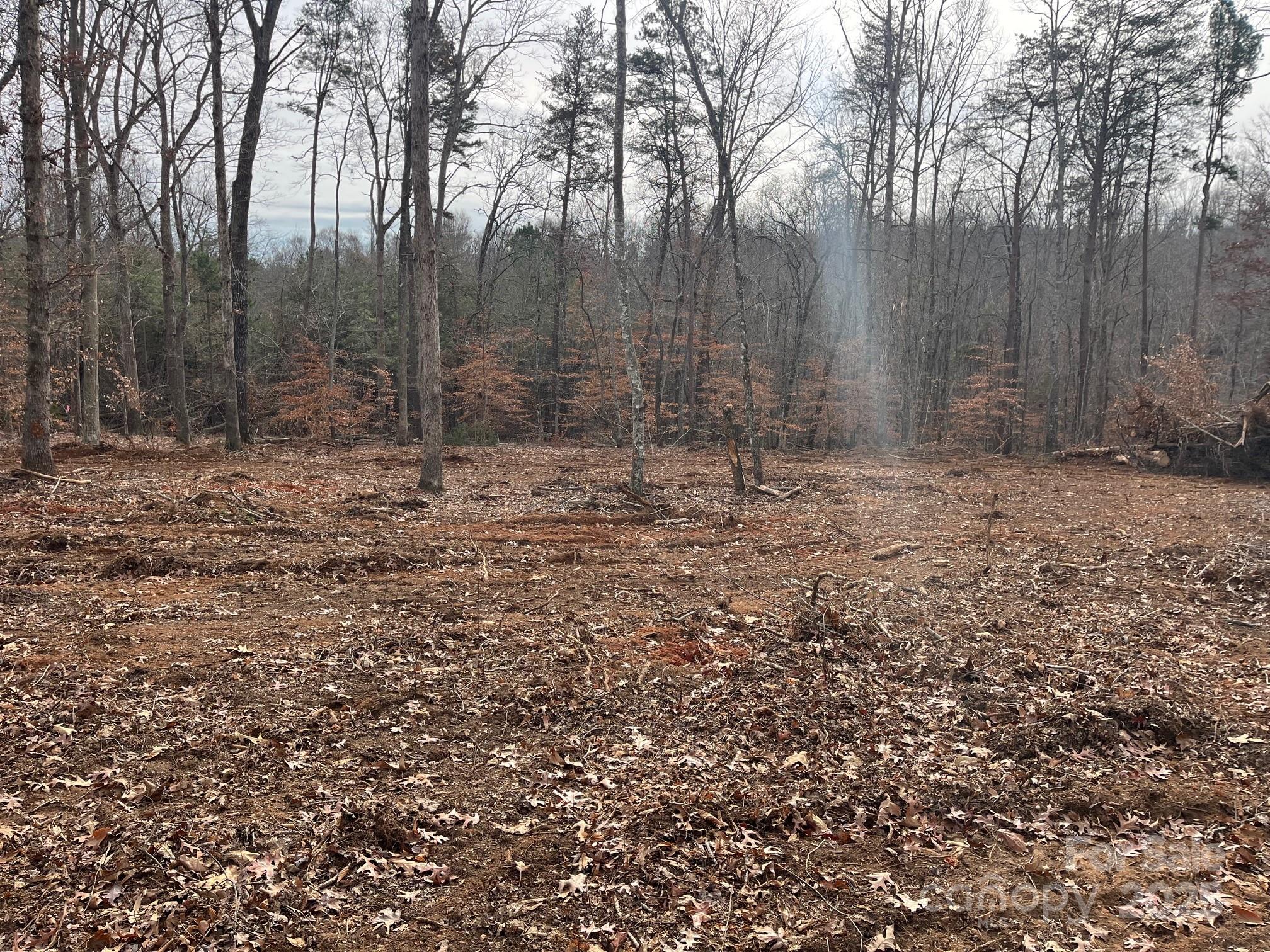 0 Hudlow Road, Unit 1 Forest City, NC 28043 - Photo 9 of 22 a view of a yard with trees in the background