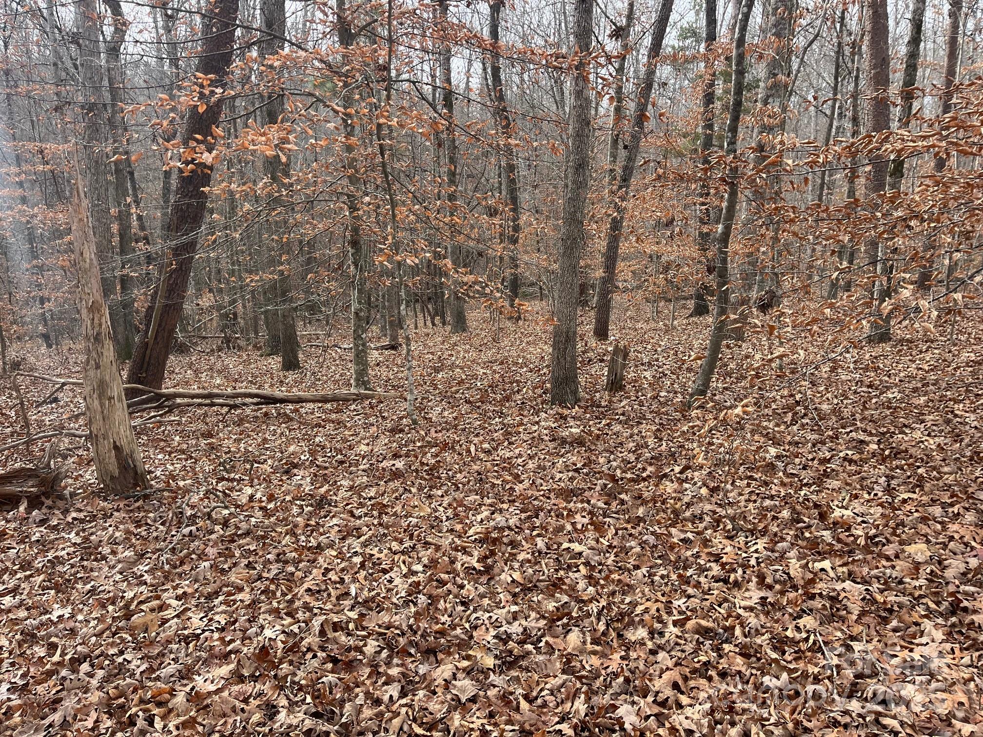 0 Hudlow Road, Unit 1 Forest City, NC 28043 - Photo 10 of 22 a view of a yard with a trees