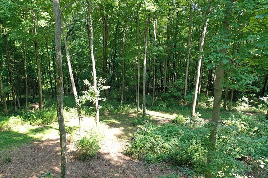 Ridge Road Rockwood, PA 15557 - Photo 7 of 22
