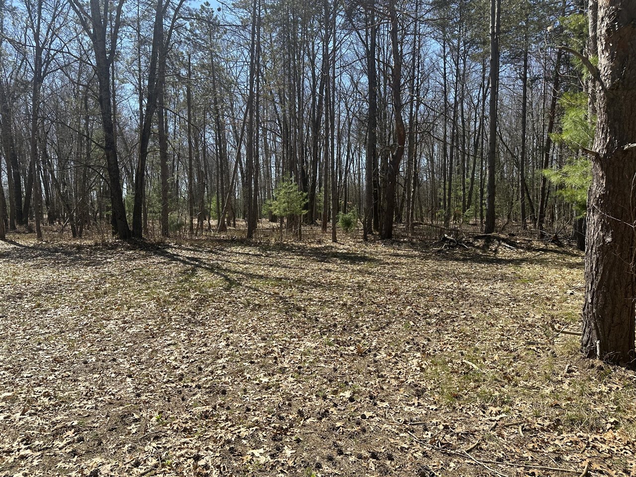 604 Beaver Road Bitely, MI 49309 - Photo 83 of 99