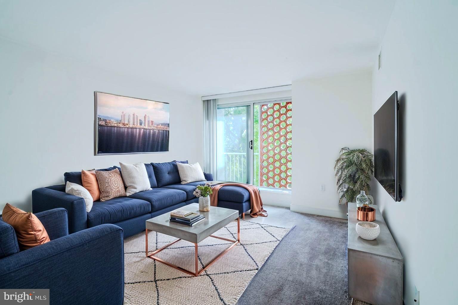 800 4th Street Southwest, Unit S501 Washington, DC 20024 - Photo 6 of 26 a living room with furniture a flat screen tv and a potted plant