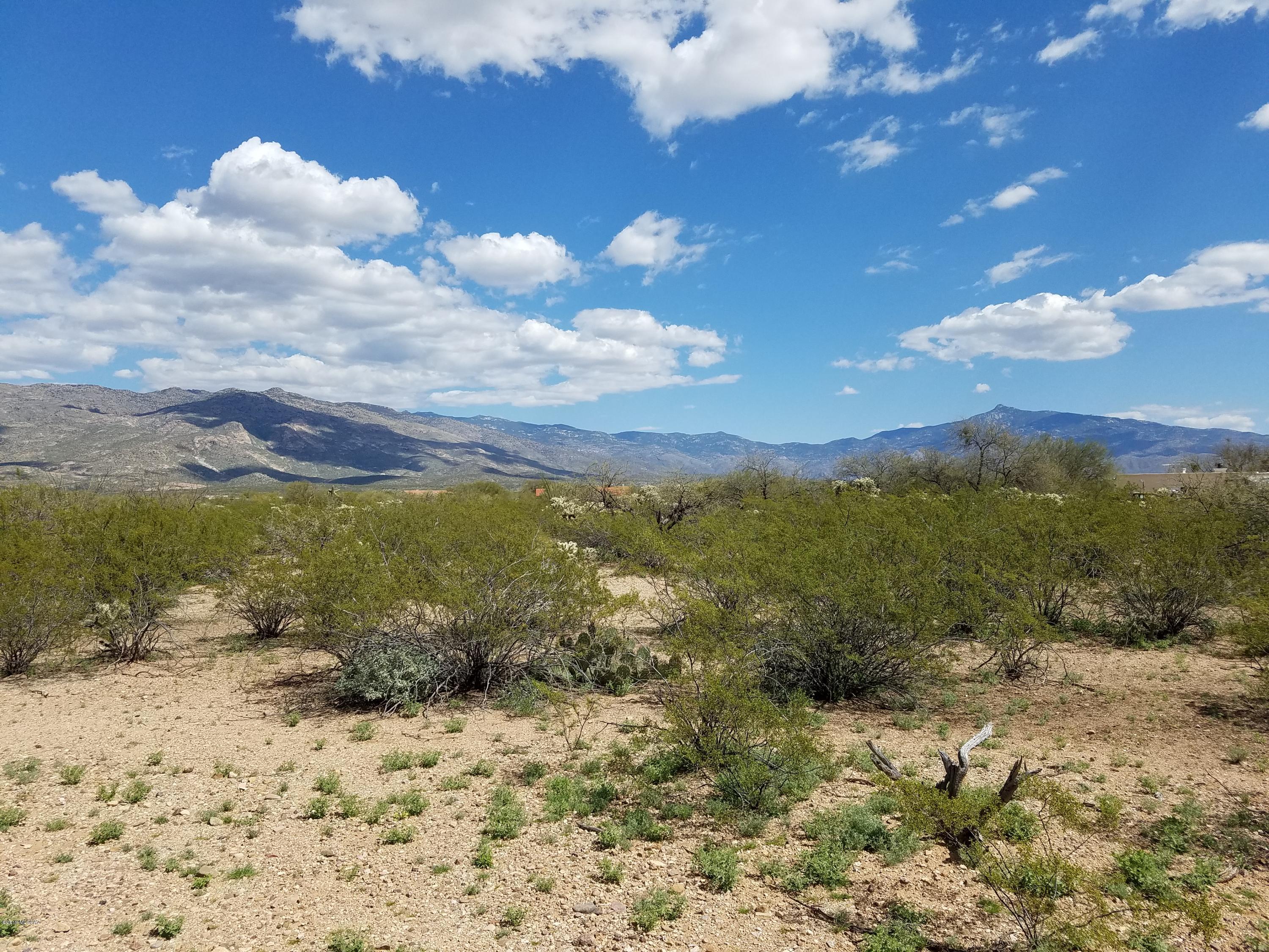 East Los Reales Road, Unit 82 Tucson, AZ 85747 - Photo 24 of 36
