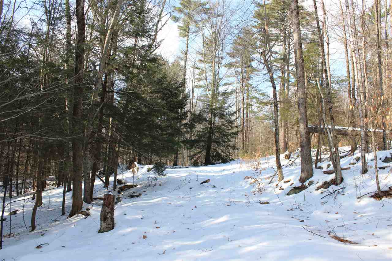 430 Old Piper Road Baltimore, VT 05143 - Photo 22 of 27
