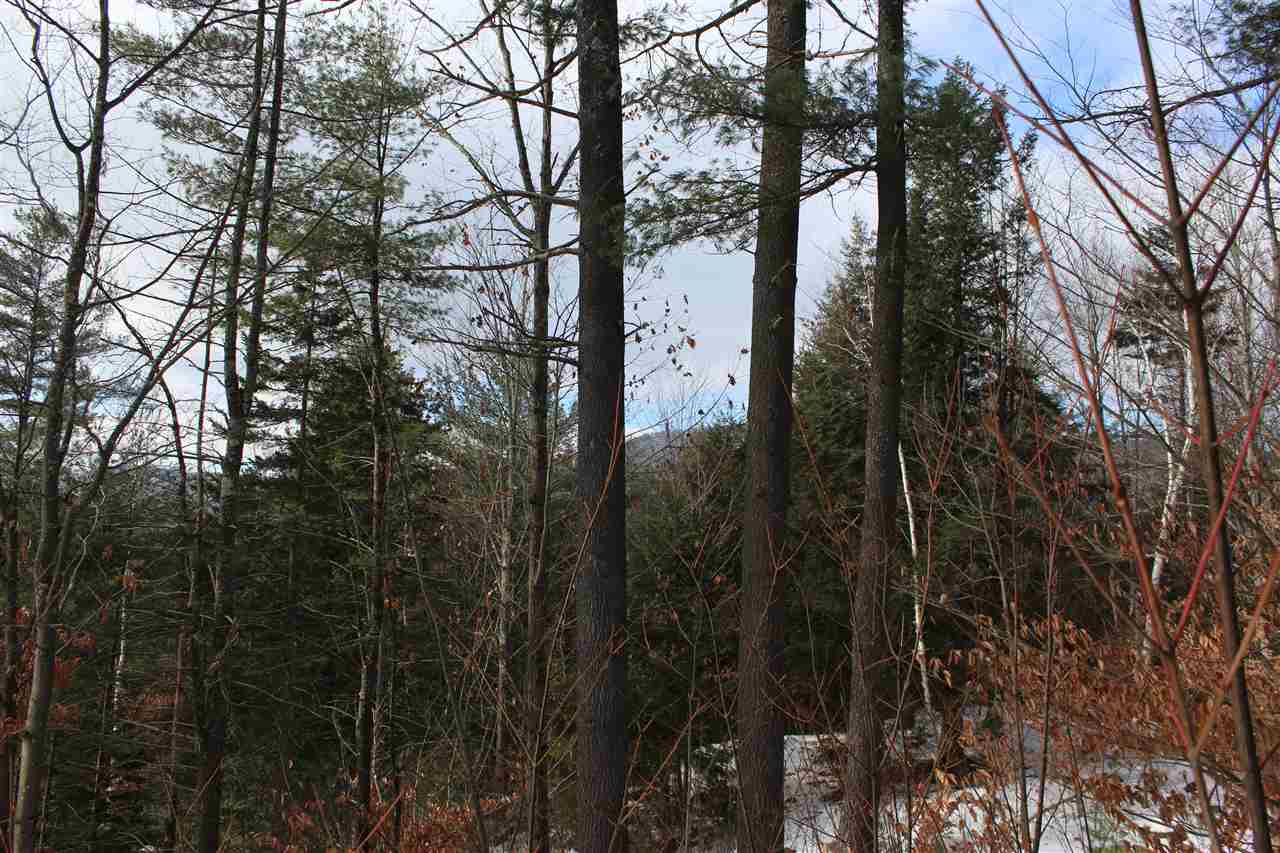 430 Old Piper Road Baltimore, VT 05143 - Photo 8 of 27
