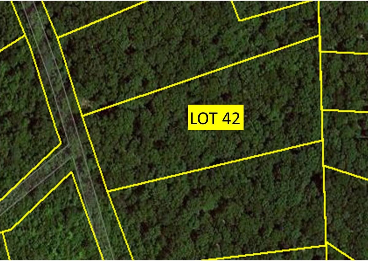 620 Timber Ridge Drive Counce, TN 38326 - Photo 1 of 1 Aerial Map...NOT a Survey