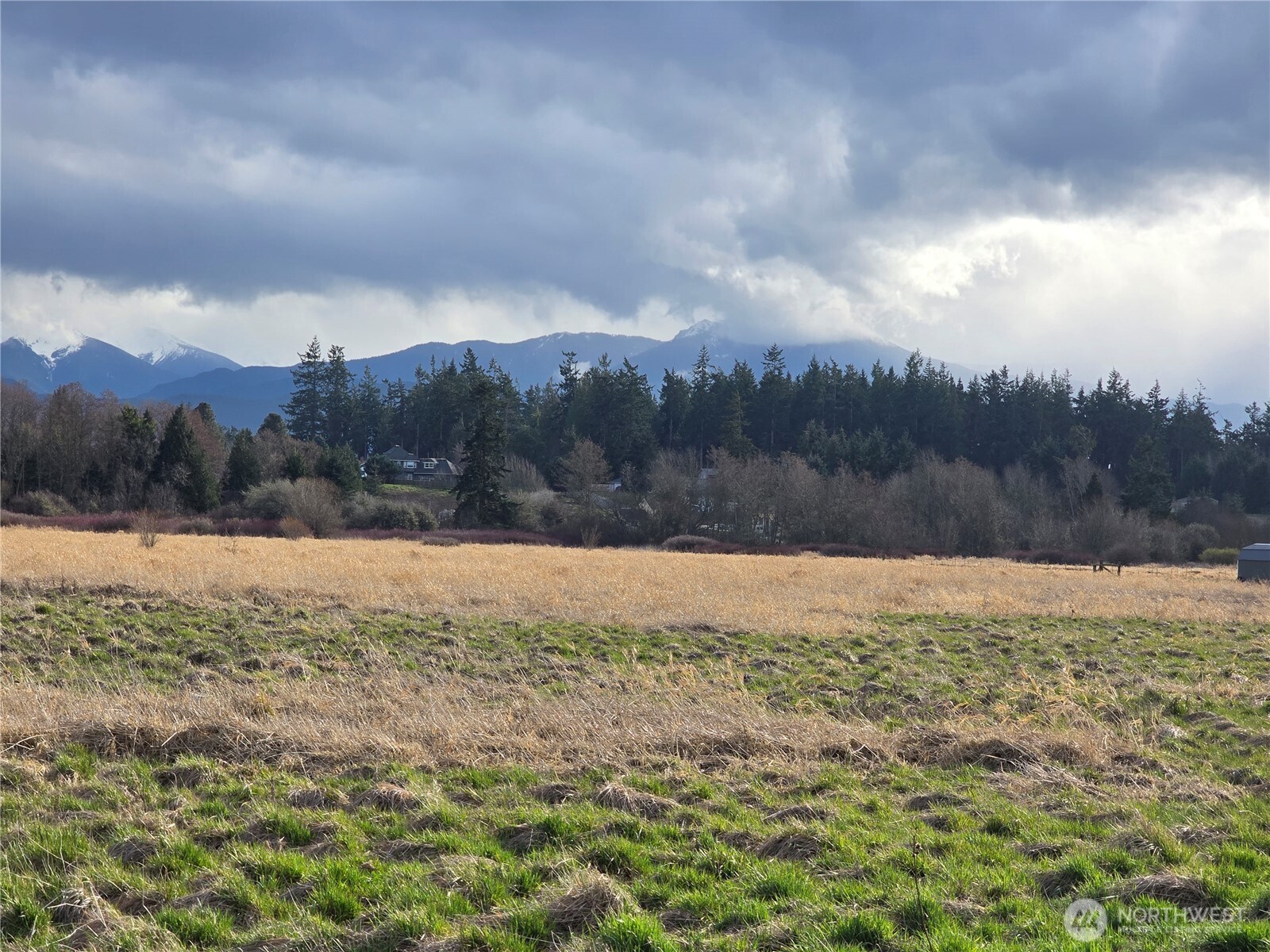 104 Green Valley Lane Sequim, WA 98382 - Photo 5 of 12 a view of lake and mountain