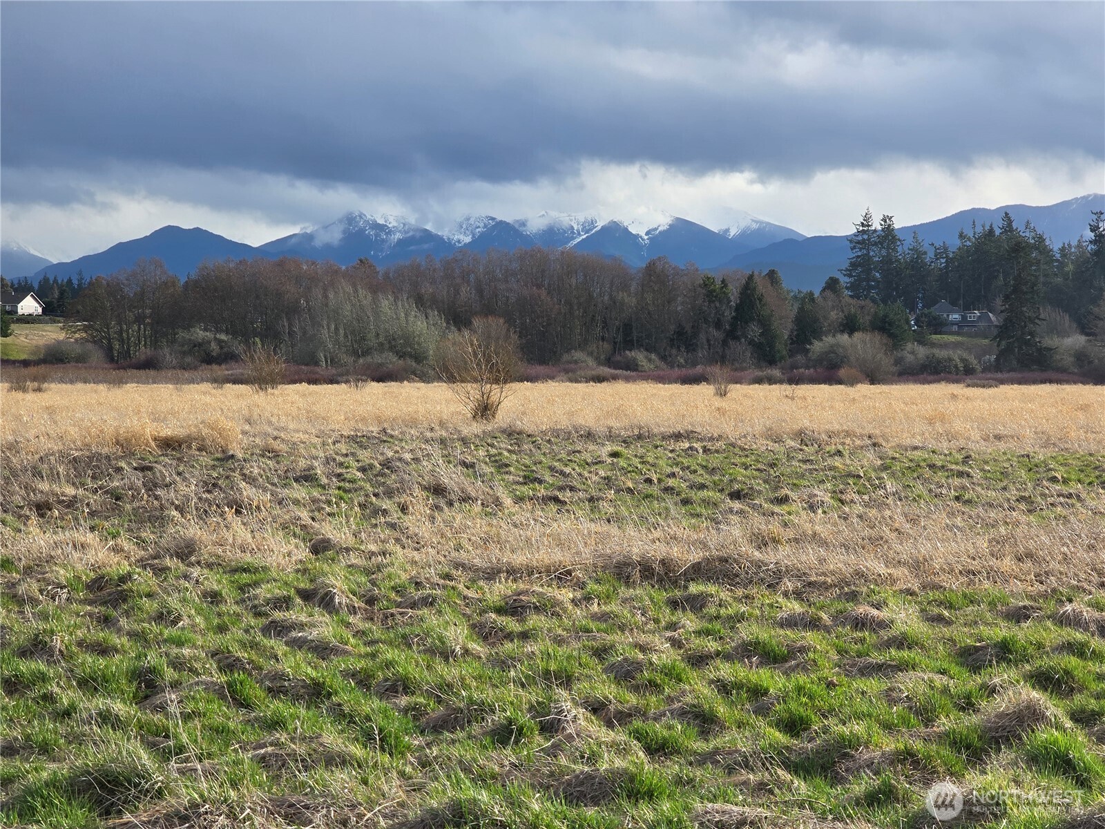 104 Green Valley Lane Sequim, WA 98382 - Photo 6 of 12 a view of lake view and mountain view