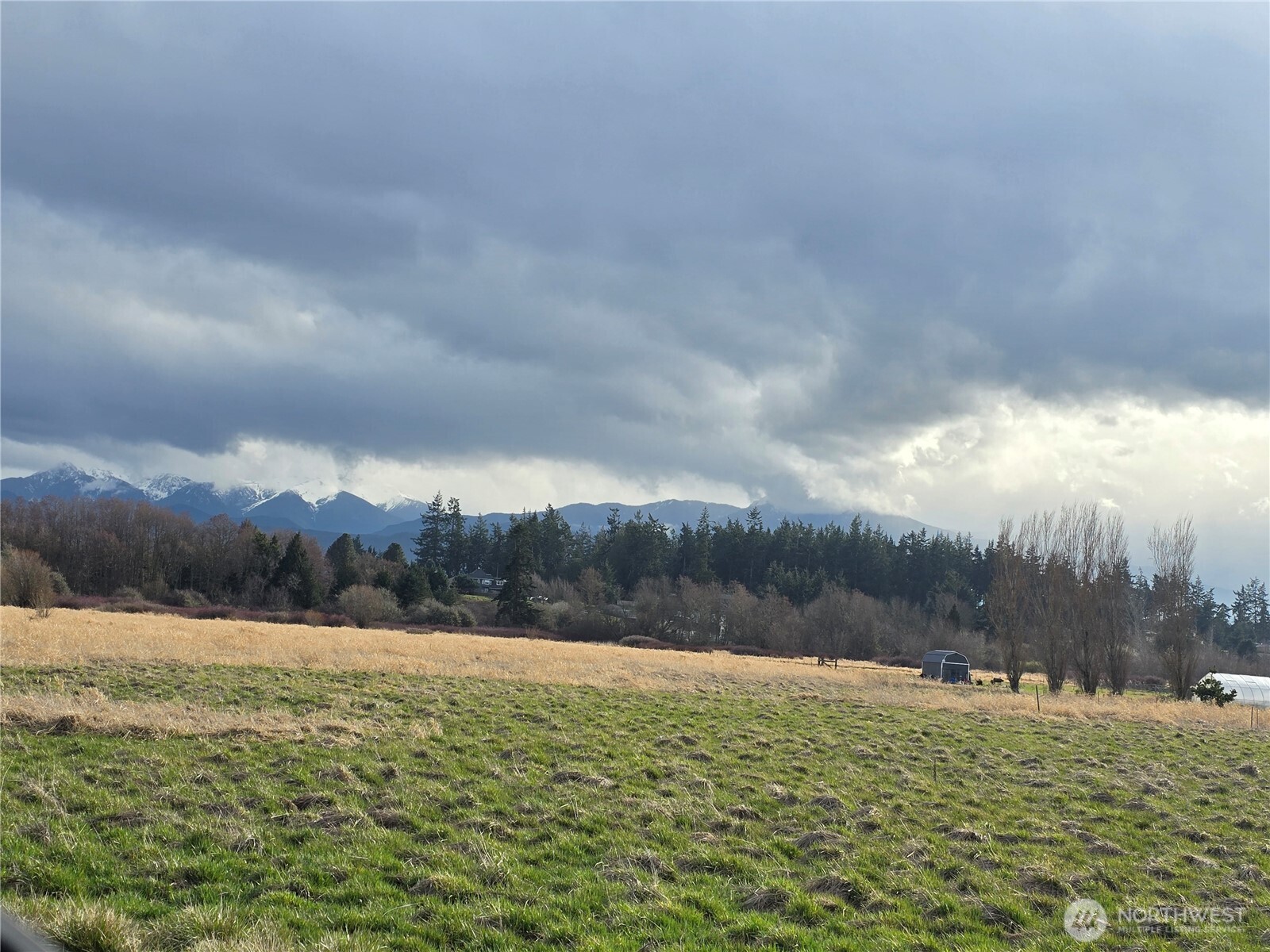 104 Green Valley Lane Sequim, WA 98382 - Photo 7 of 12