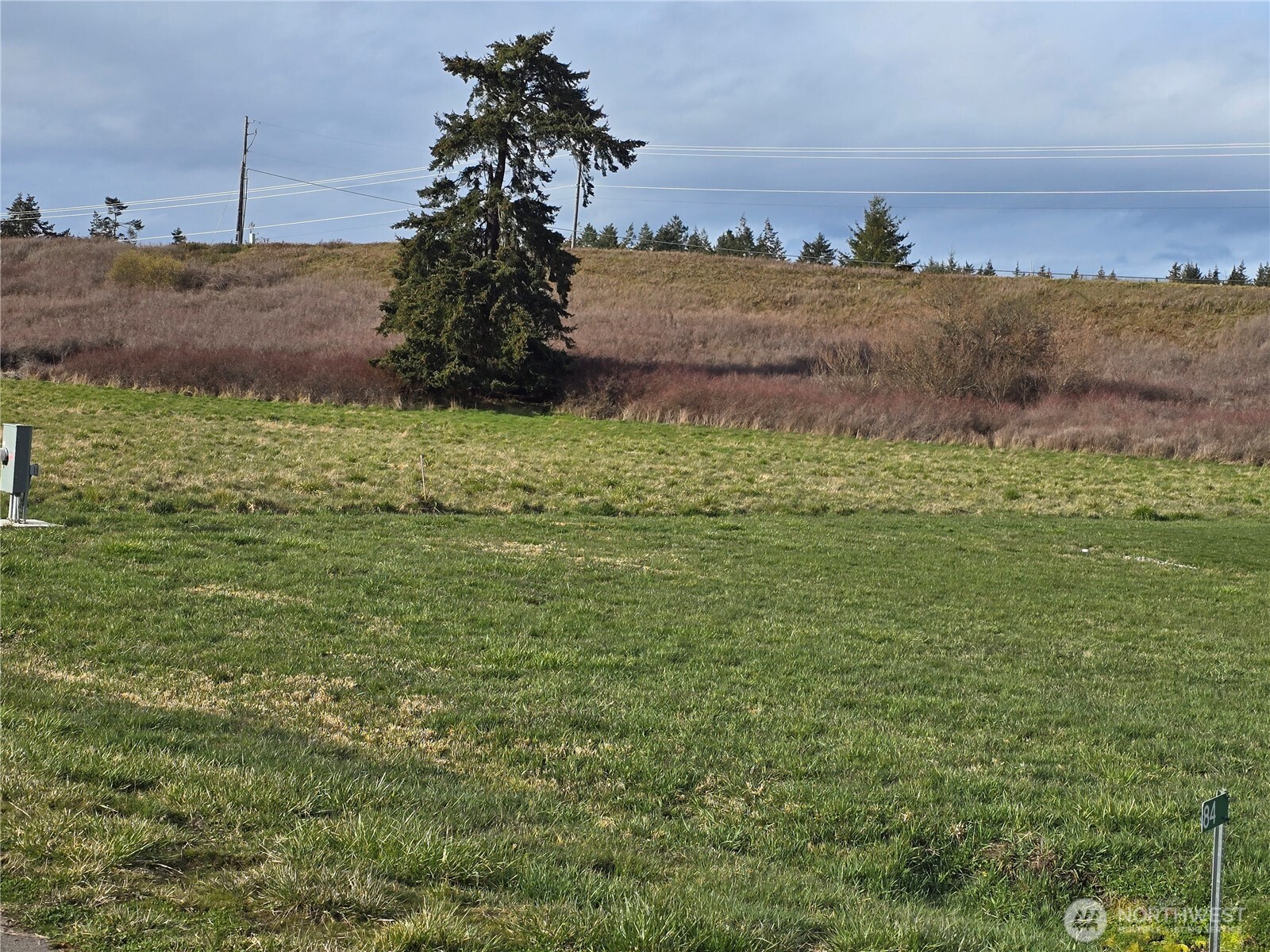 104 Green Valley Lane Sequim, WA 98382 - Photo 8 of 12 a big yard with lots of green space