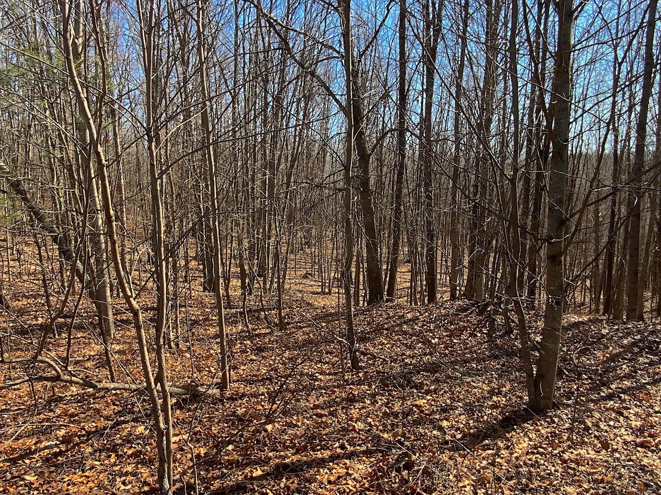 0 Kelly Road Ray, OH 45672 - Photo 12 of 46 Vinton County Kelly Rd 11