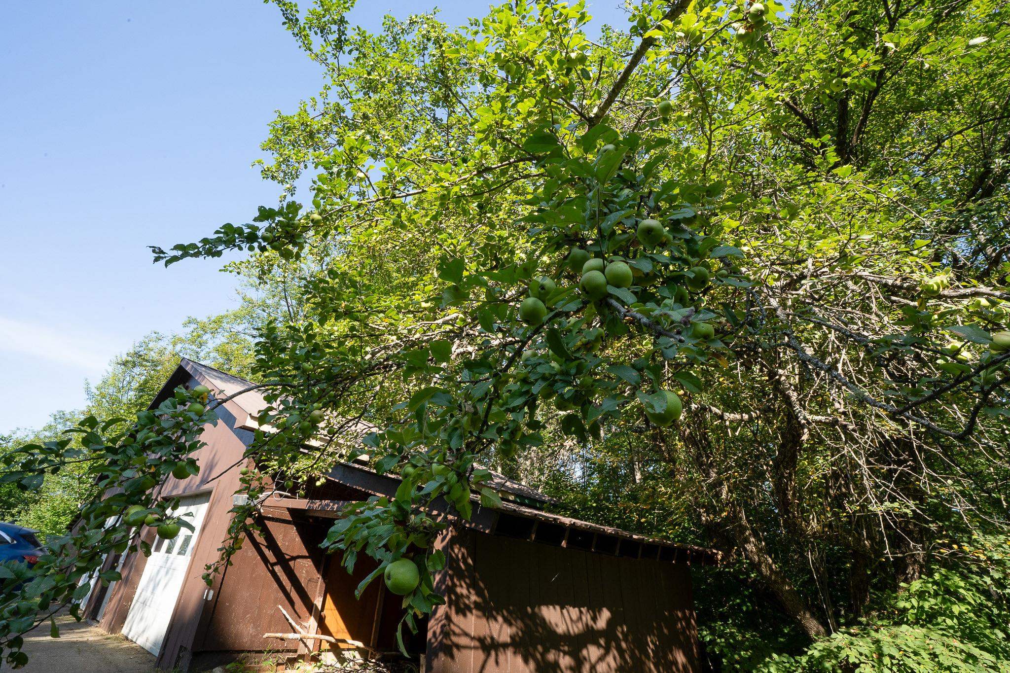 464 Quarry Road Sheffield, VT 05839 - Photo 49 of 51