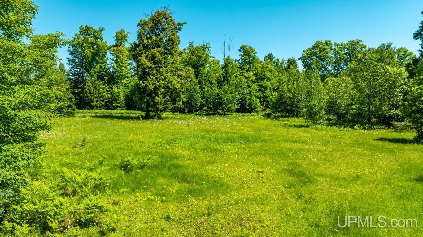 23180 South Laird Road Pelkie, MI 49958 - Photo 83 of 88