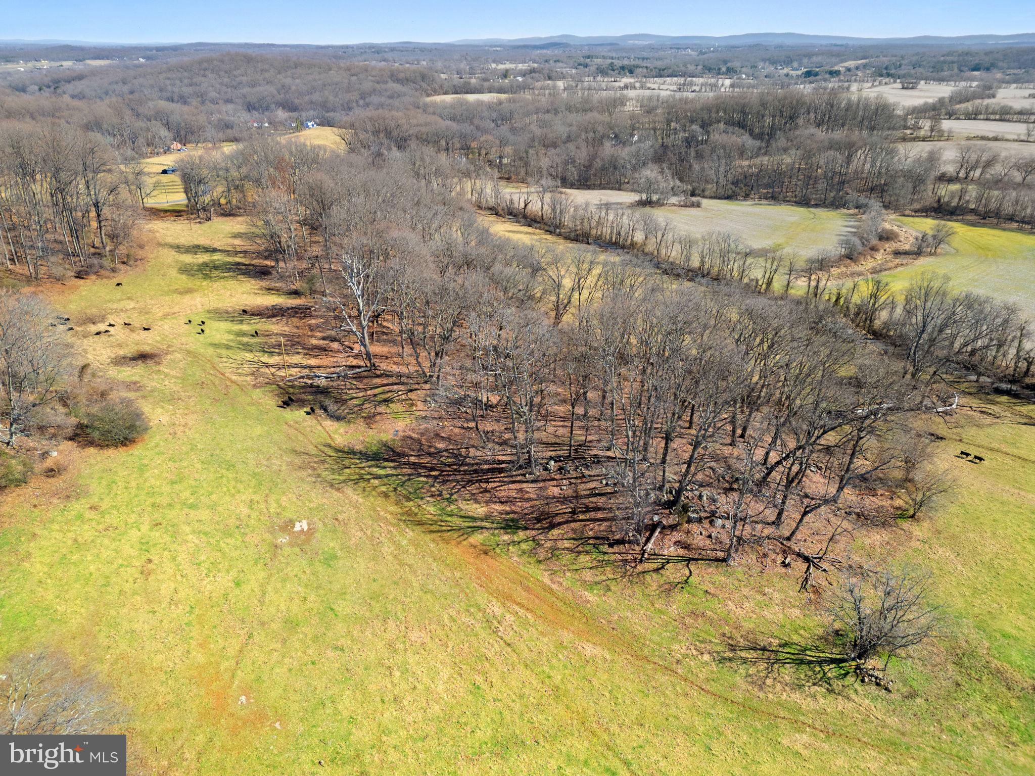 41-acres - Ramey Road Delaplane, VA 20144 - Photo 11 of 21