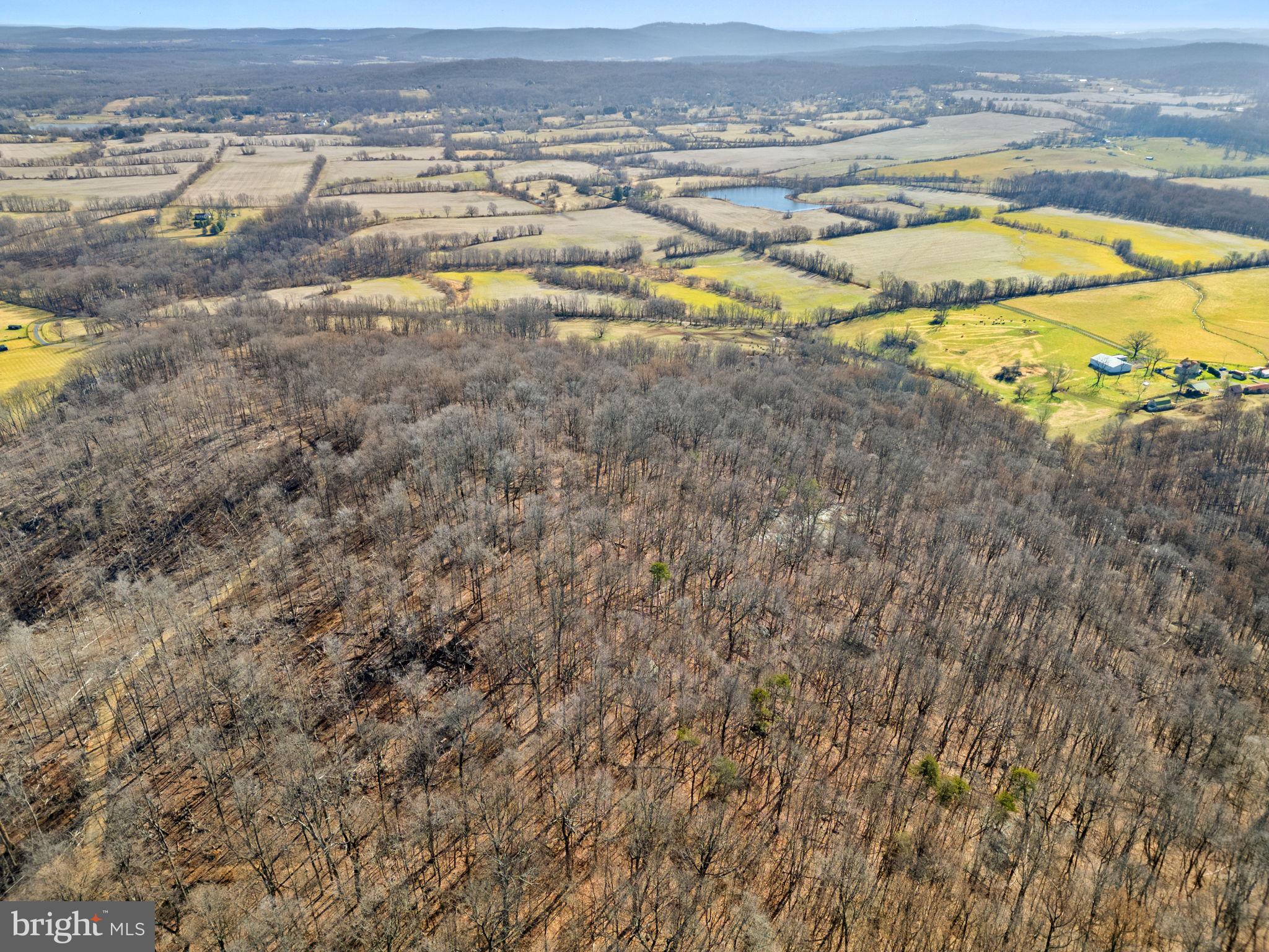 41-acres - Ramey Road Delaplane, VA 20144 - Photo 12 of 21