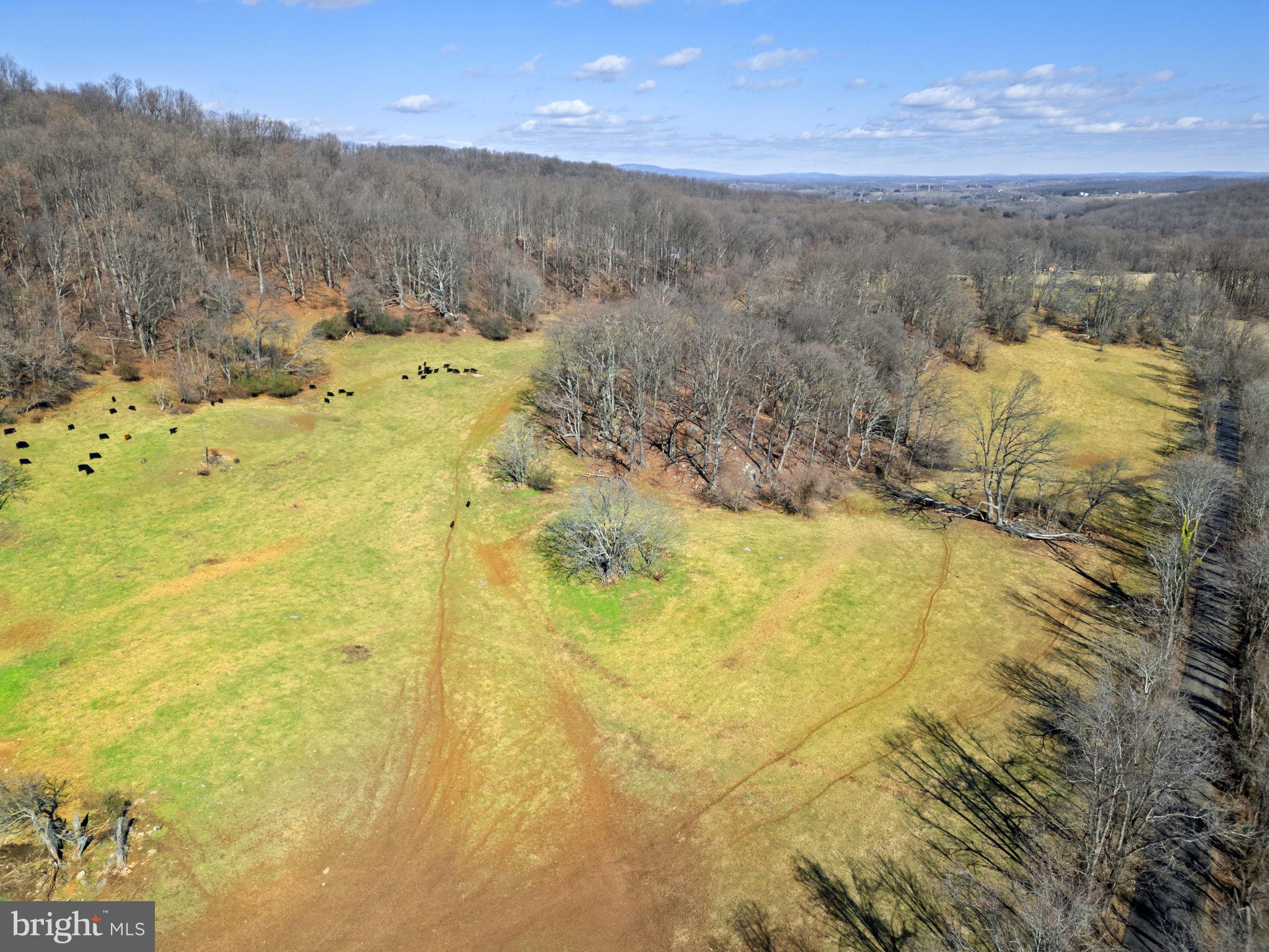 41-acres - Ramey Road Delaplane, VA 20144 - Photo 13 of 21