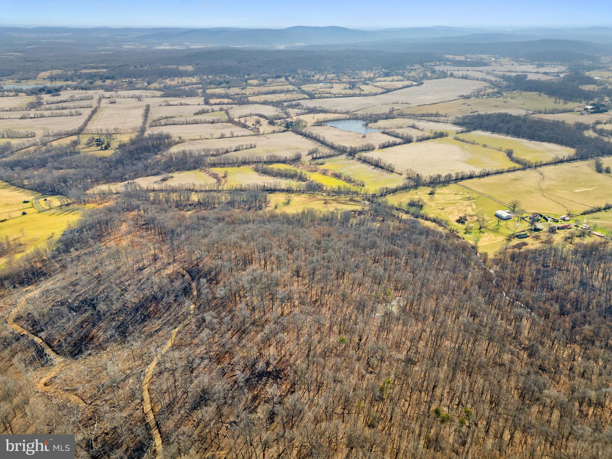 41-acres - Ramey Road Delaplane, VA 20144 - Photo 14 of 21